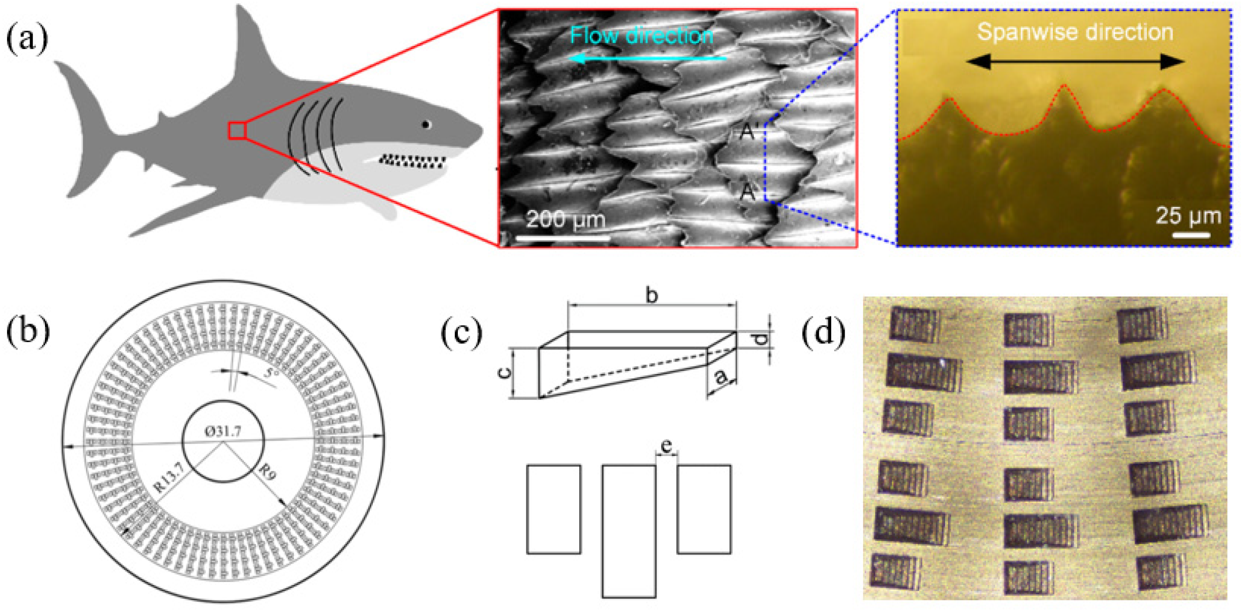 Lubricants 13 00468 g003