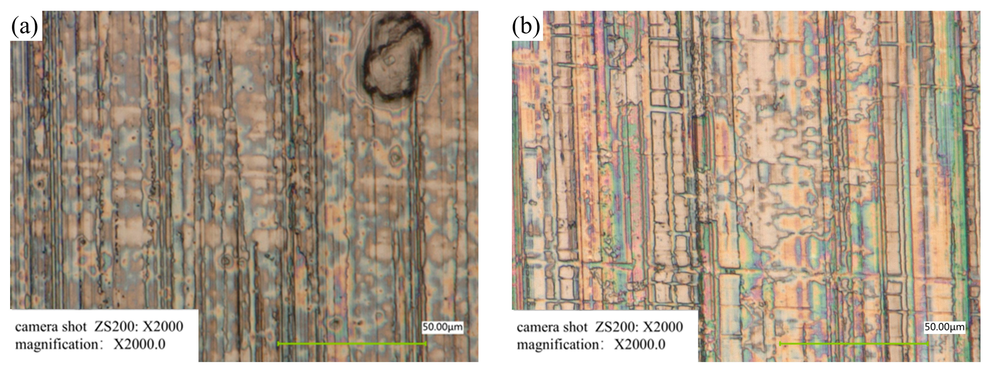 Lubricants 13 00482 g015 Lubricants 13 00482 g015