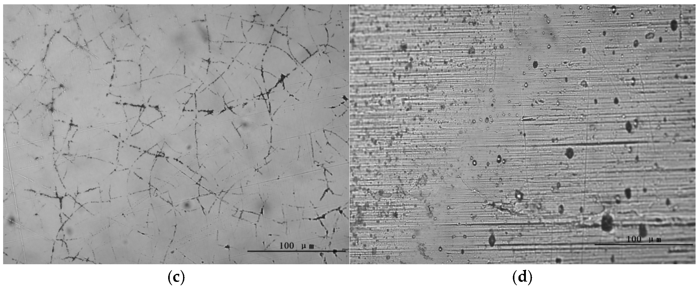 Lubricants 13 00487 g003b