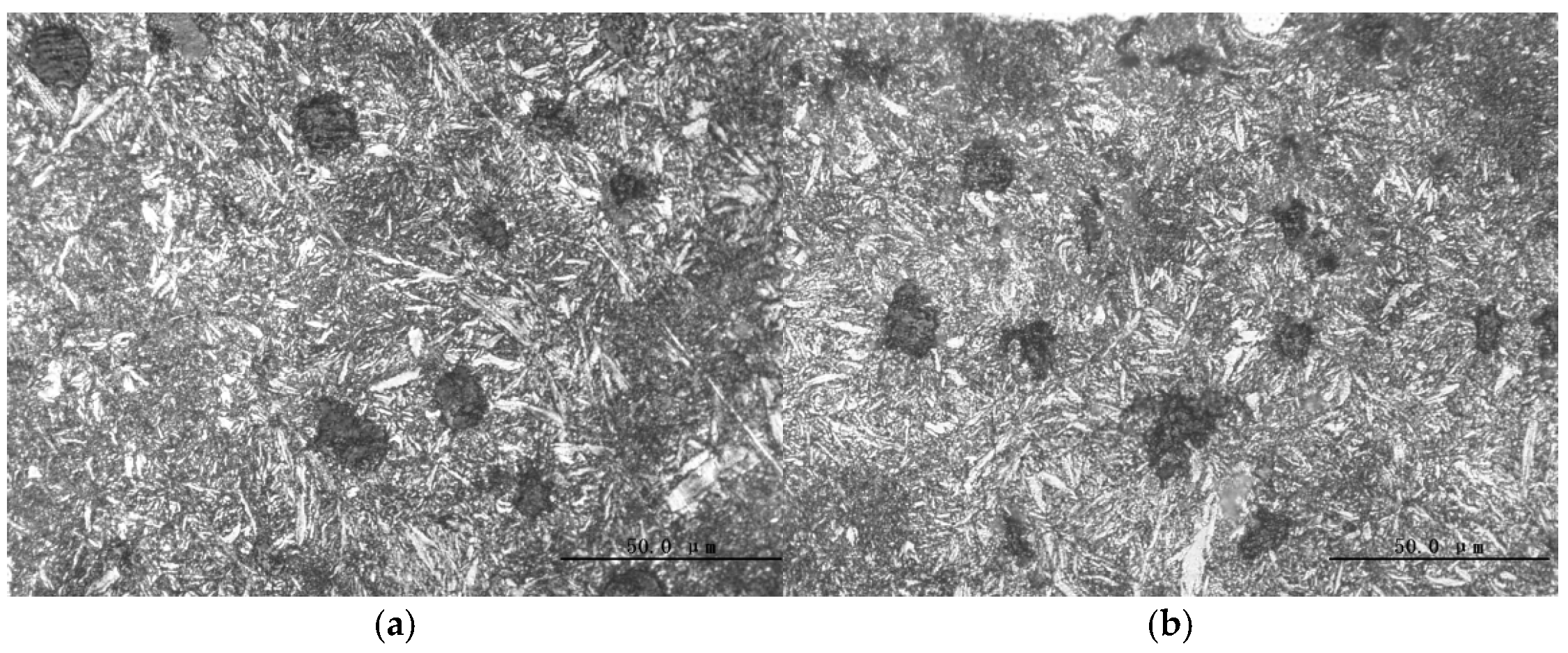 Lubricants 13 00487 g004