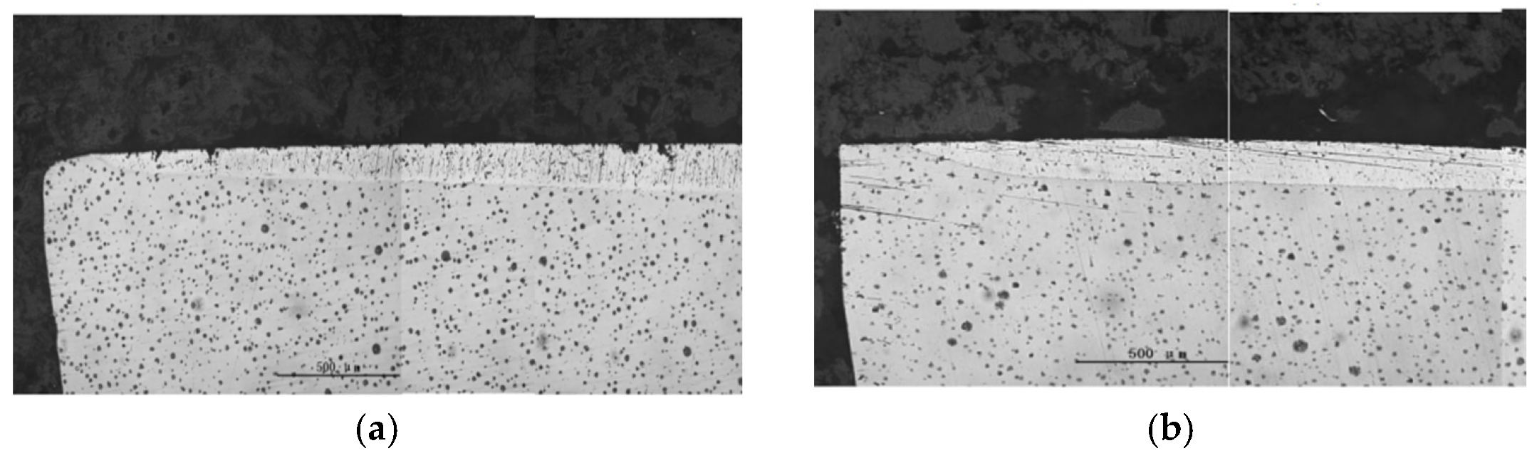 Lubricants 13 00487 g005a