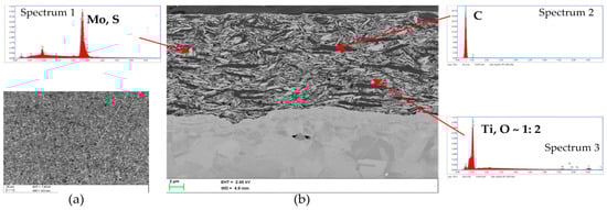 Lubricants 13 00493 g002