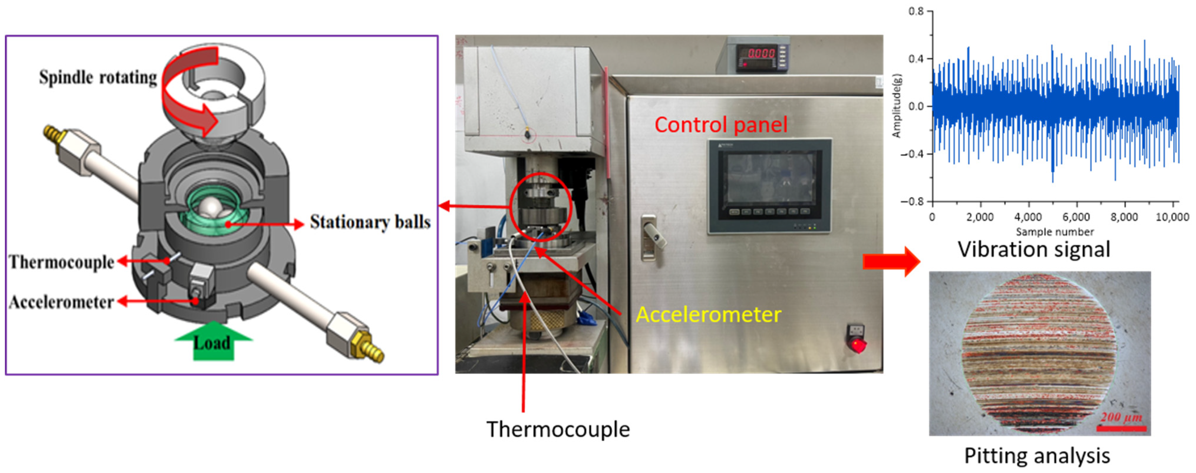 Lubricants 13 00499 g002