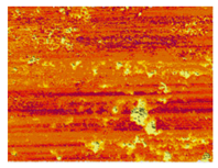 Lubricants 13 00517 i042