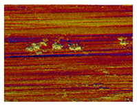 Lubricants 13 00517 i049