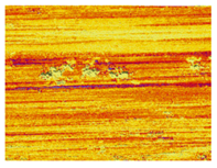 Lubricants 13 00517 i050