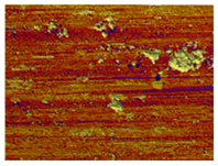 Lubricants 13 00517 i053