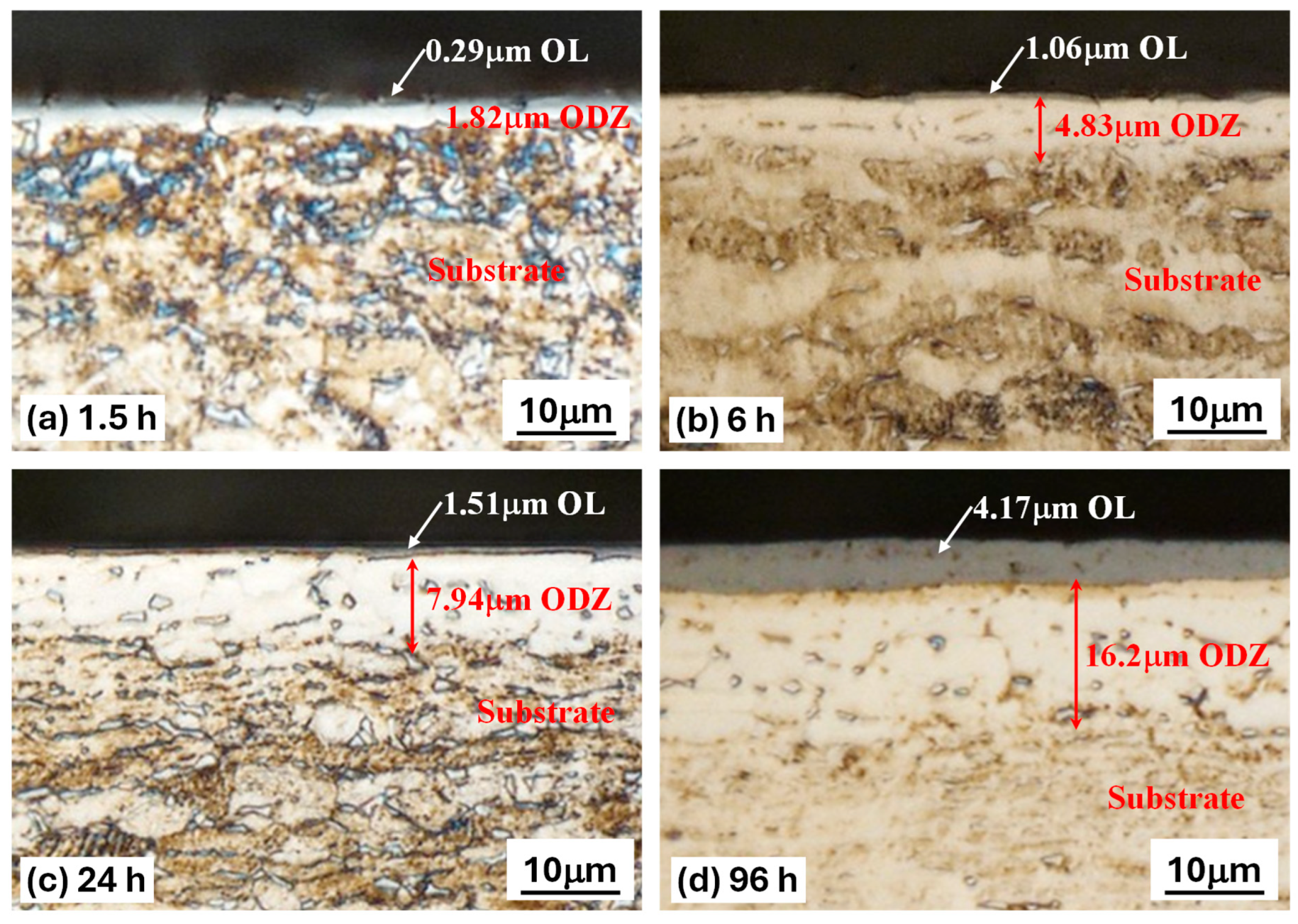 Lubricants 13 00528 g001