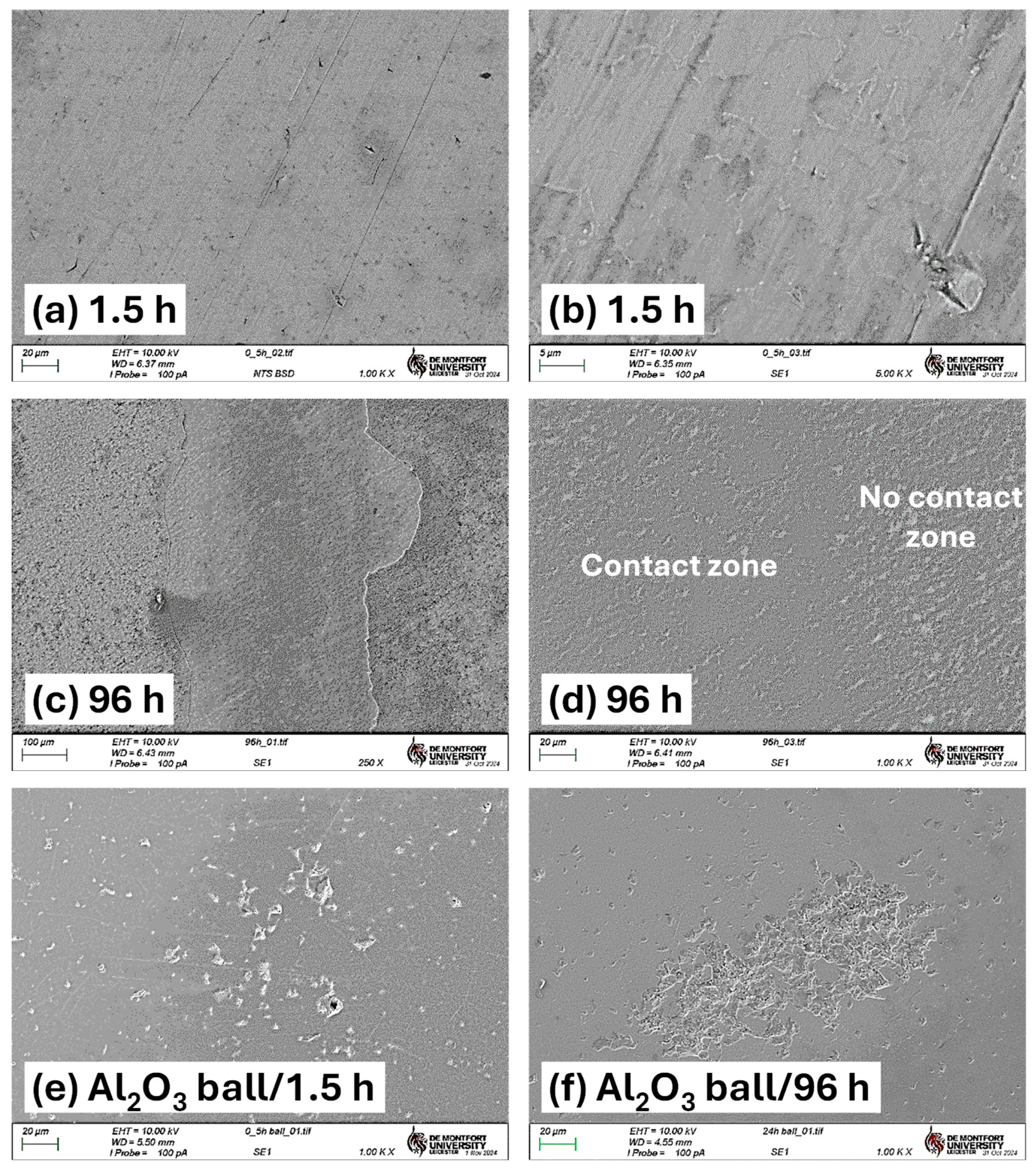 Lubricants 13 00528 g009