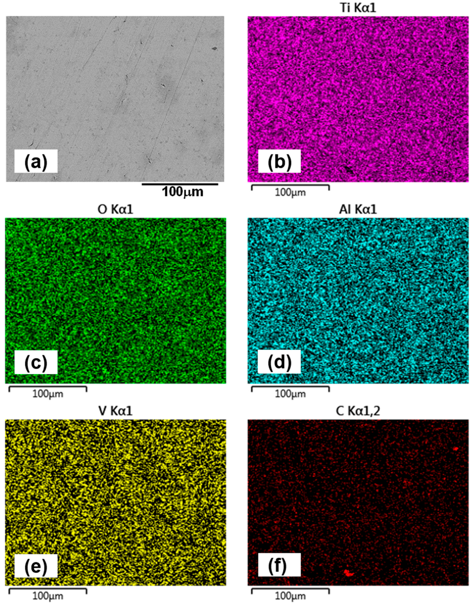 Lubricants 13 00528 g010