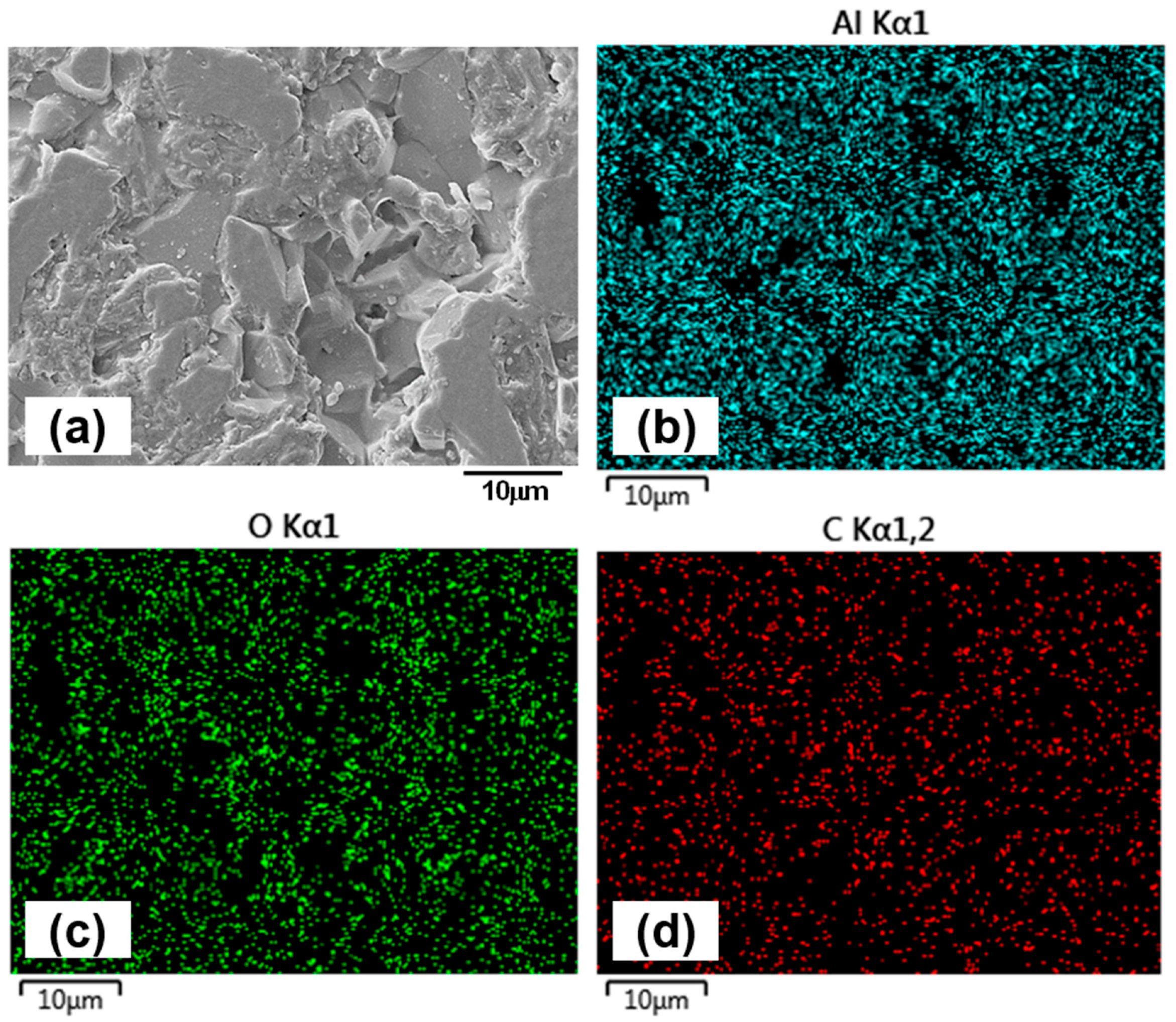 Lubricants 13 00528 g011