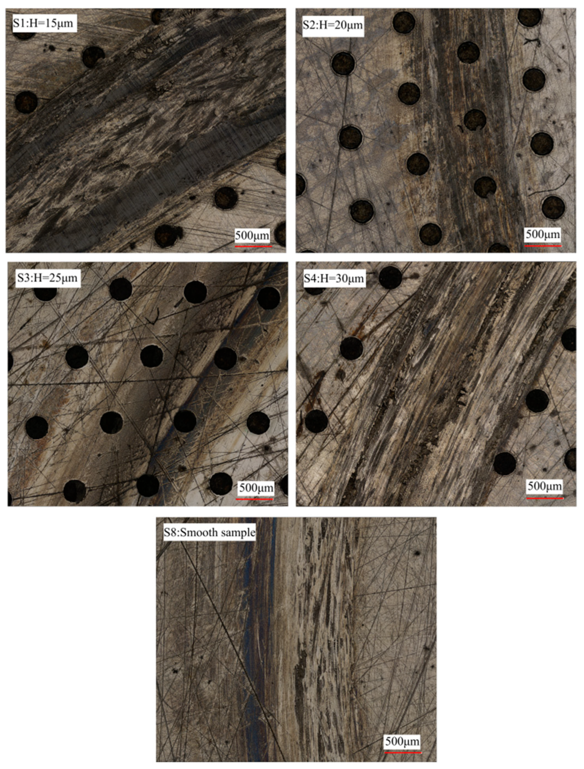 Lubricants 13 00536 g009