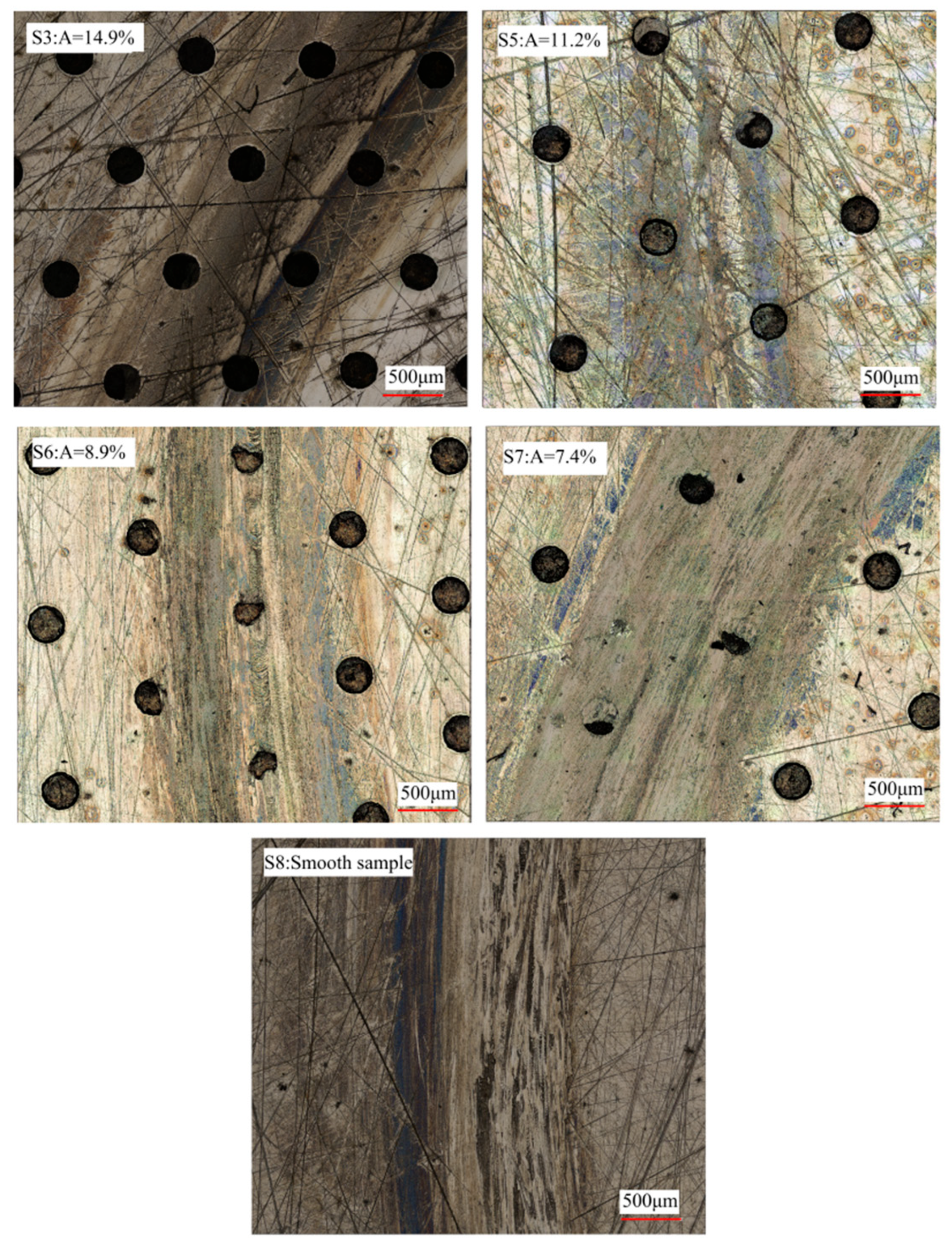 Lubricants 13 00536 g012