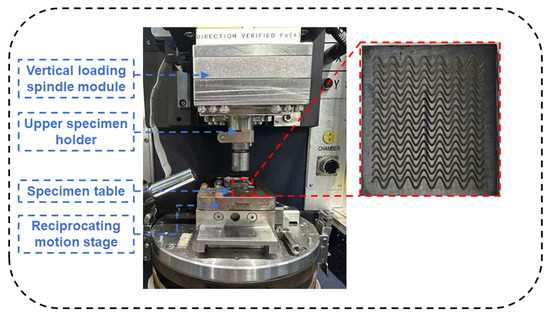Lubricants 13 00538 g003