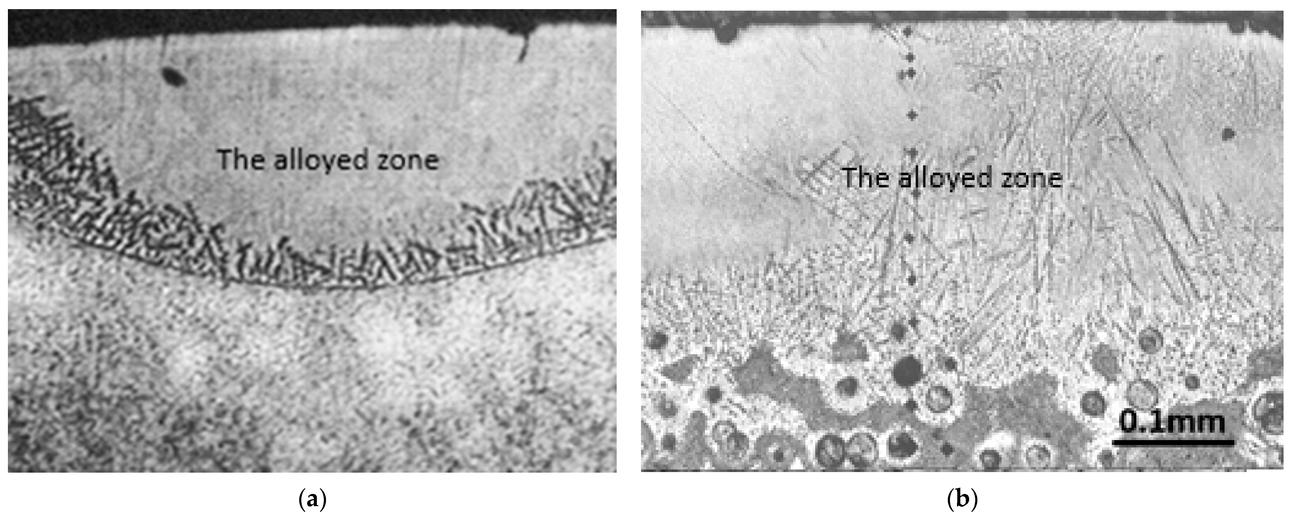 Lubricants 13 00542 g001