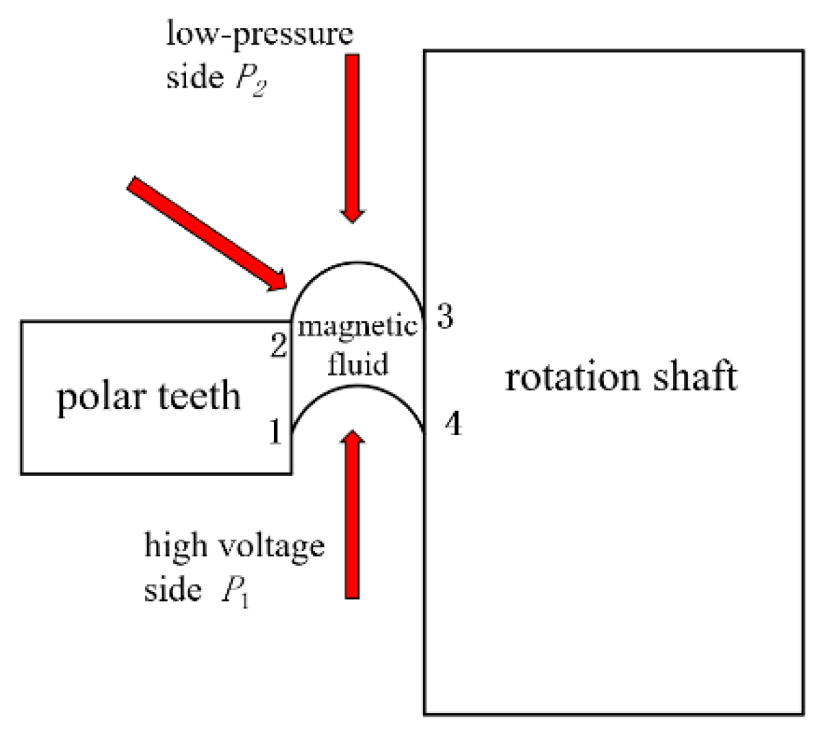 Lubricants 13 00544 g001