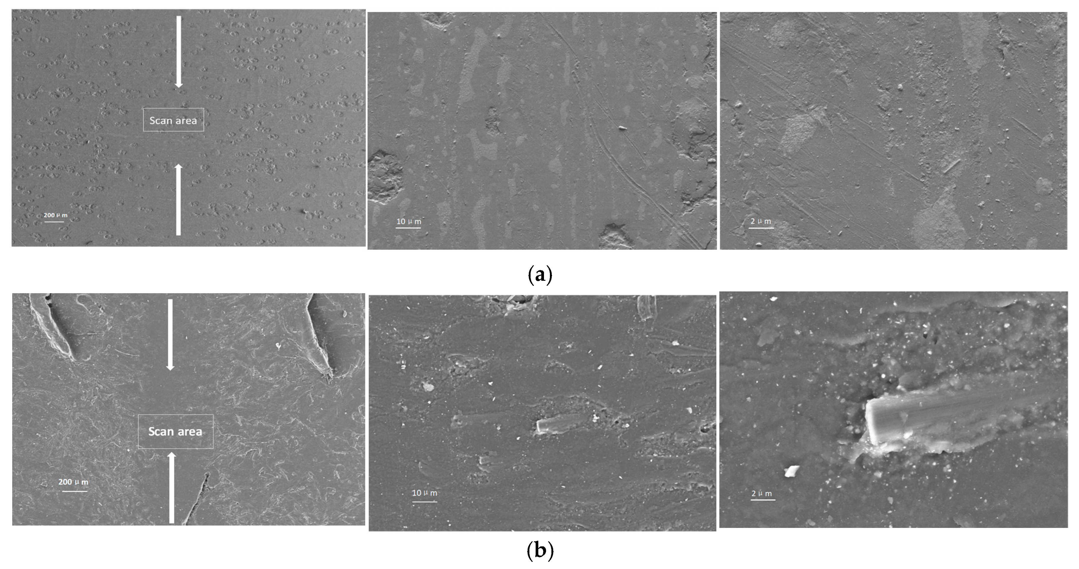 Lubricants 13 00546 g006a