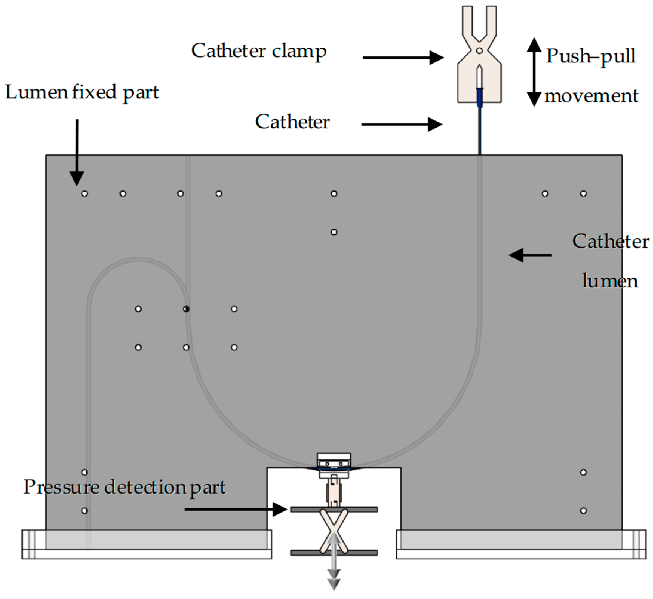 Lubricants 13 00552 g002