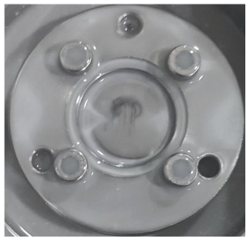 Lubricants 13 00553 g008