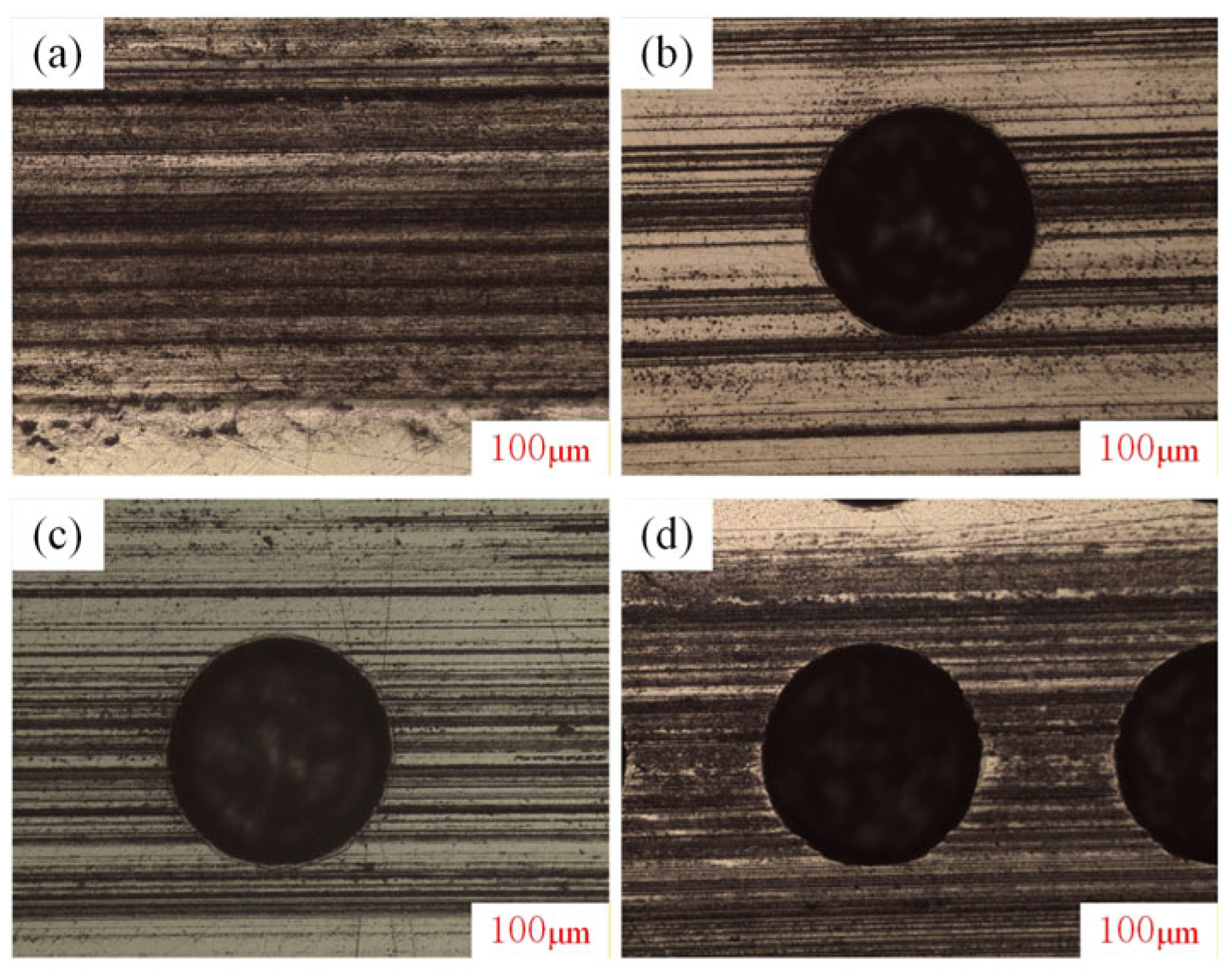 Lubricants 13 00553 g011