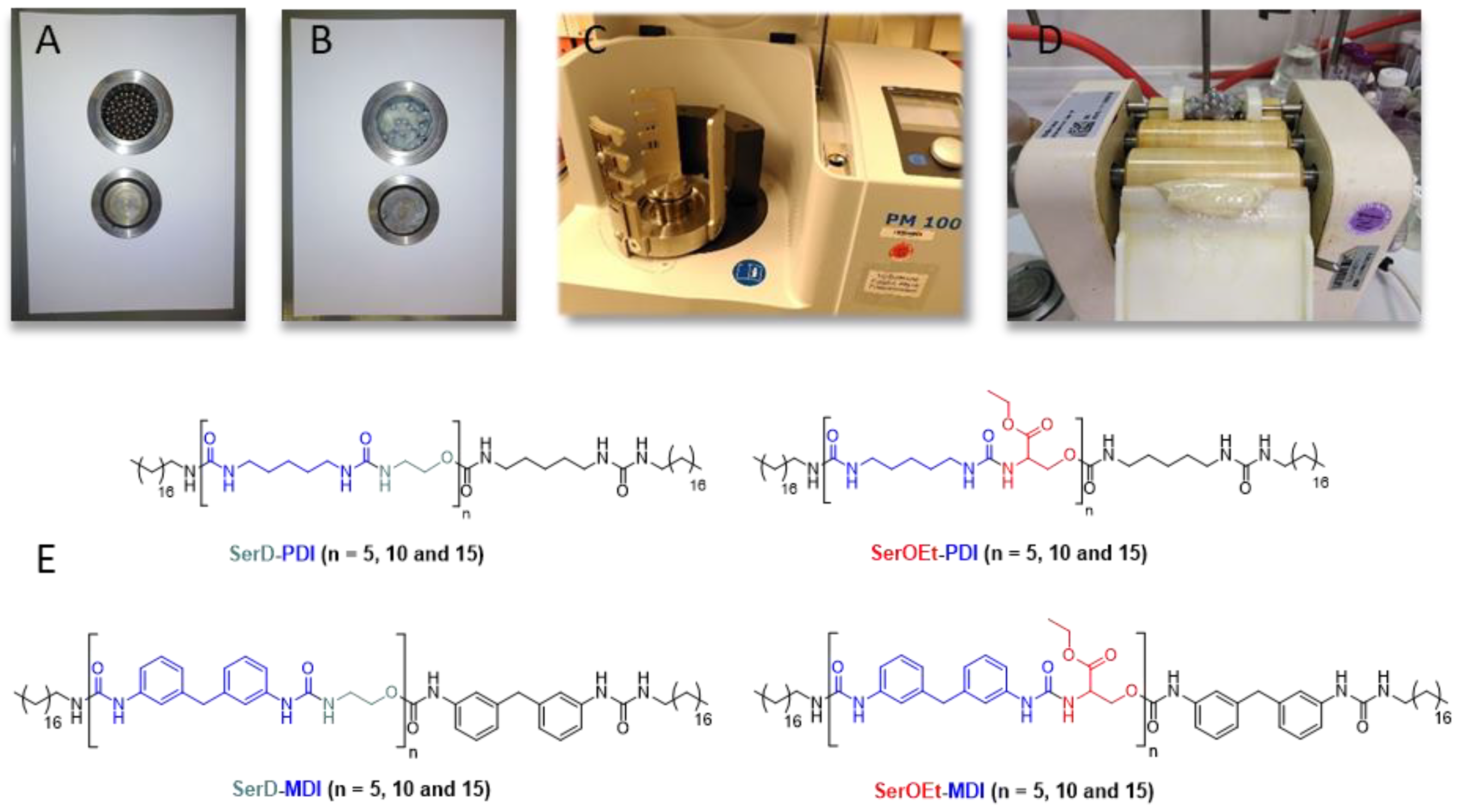 Lubricants 13 00554 g001