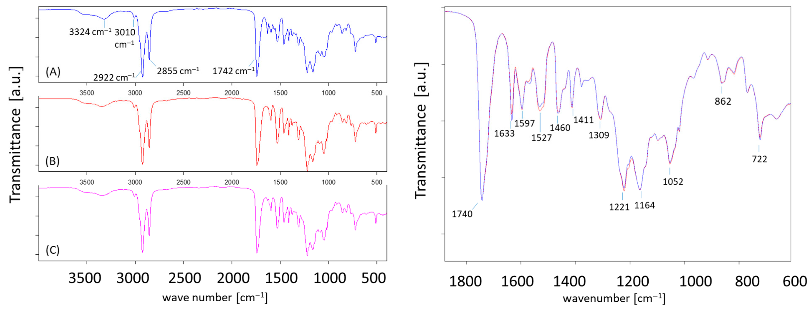 Lubricants 13 00554 g007