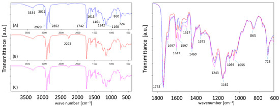 Lubricants 13 00554 g0a13