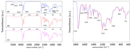 Lubricants 13 00554 g0a14