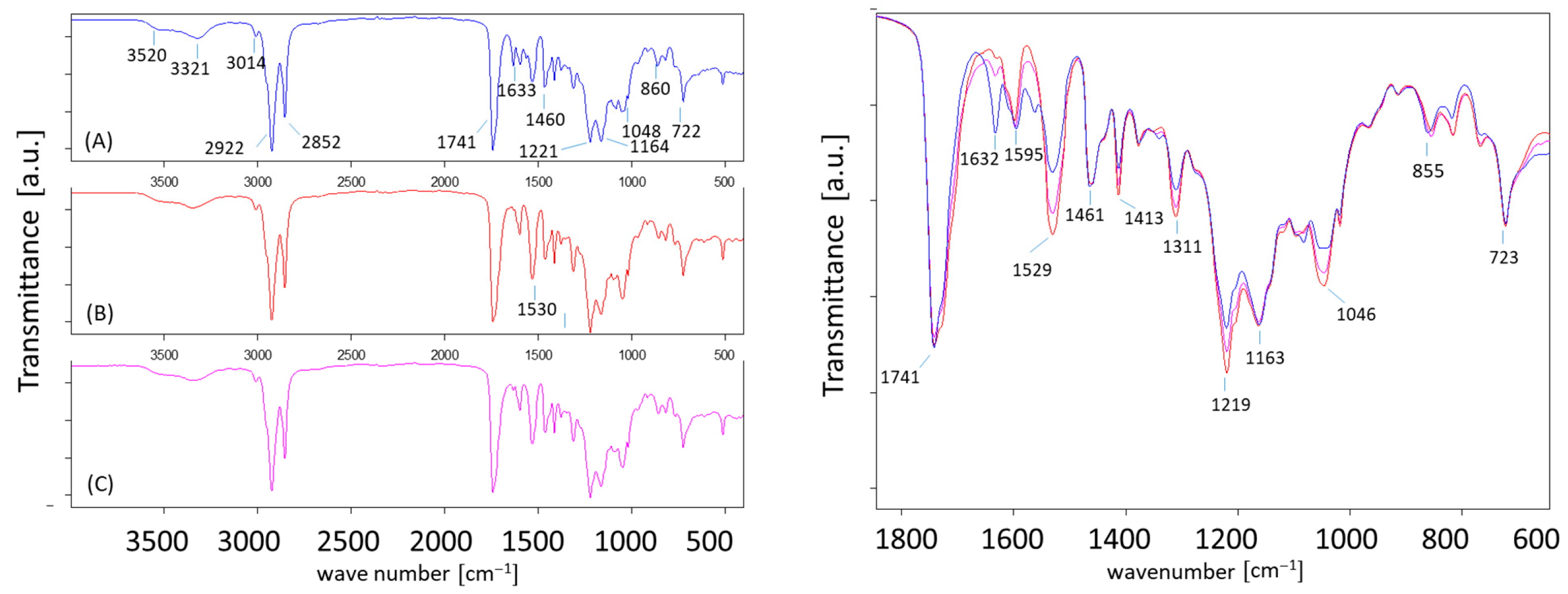 Lubricants 13 00554 g0a14