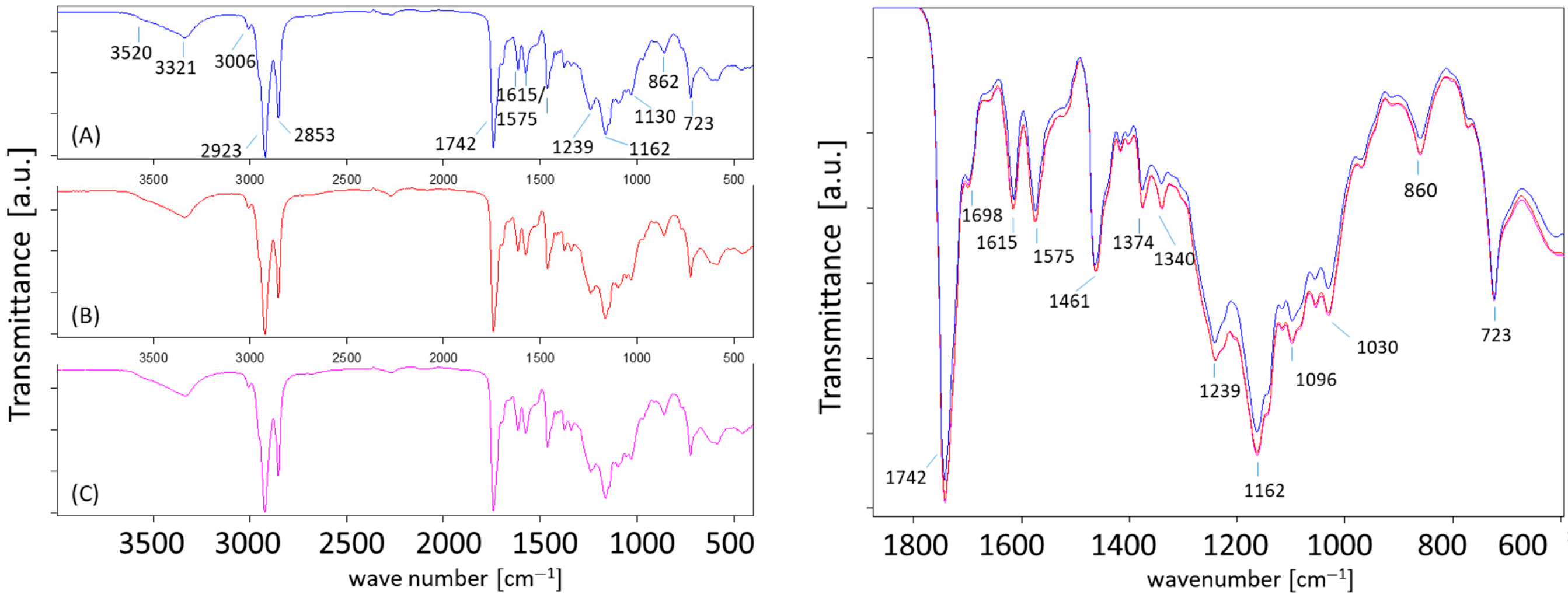 Lubricants 13 00554 g0a15