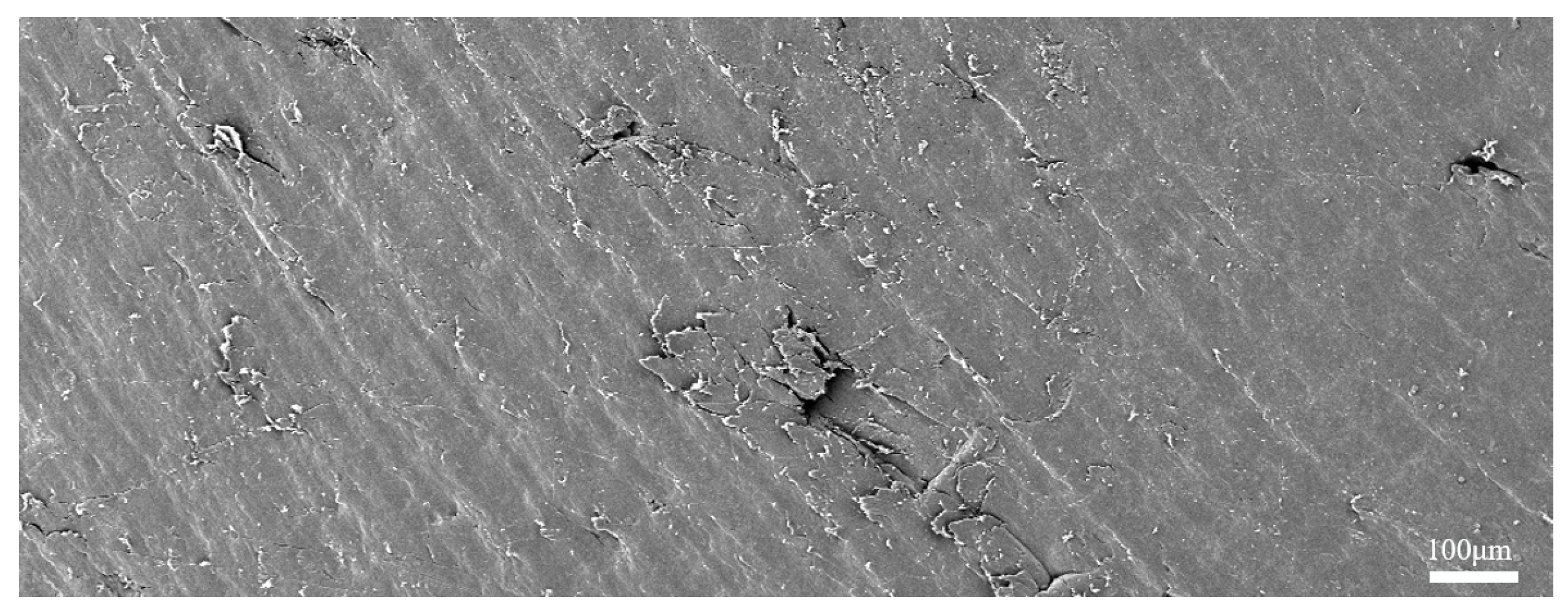 Lubricants 14 00002 g023