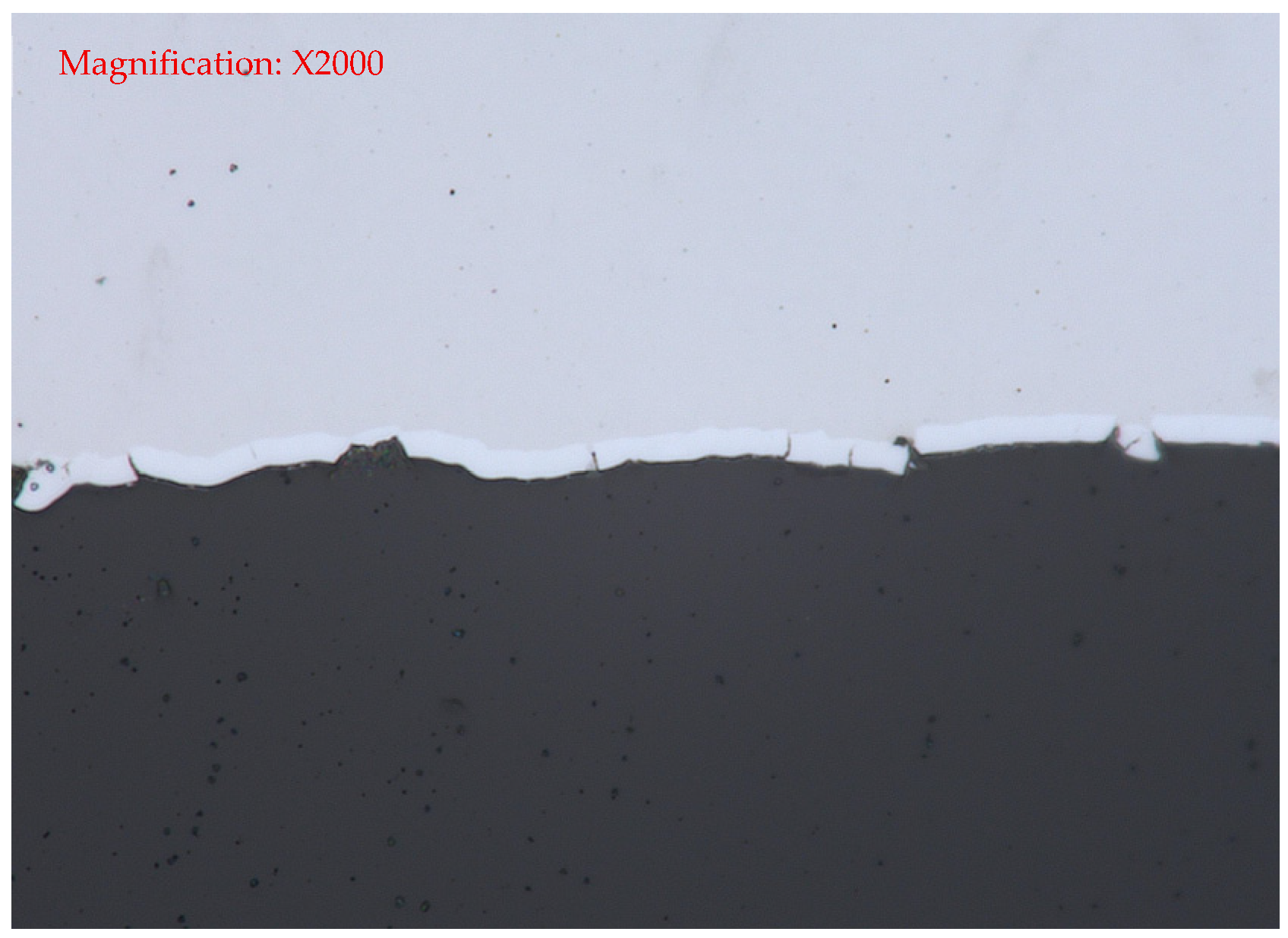 Lubricants 14 00063 g004 Lubricants 14 00063 g004