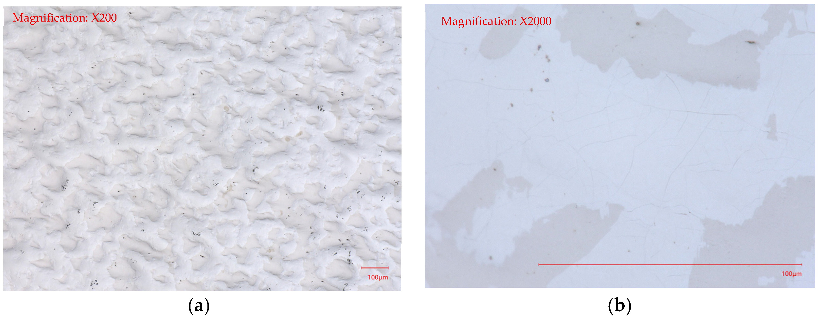 Lubricants 14 00063 g005 Lubricants 14 00063 g005