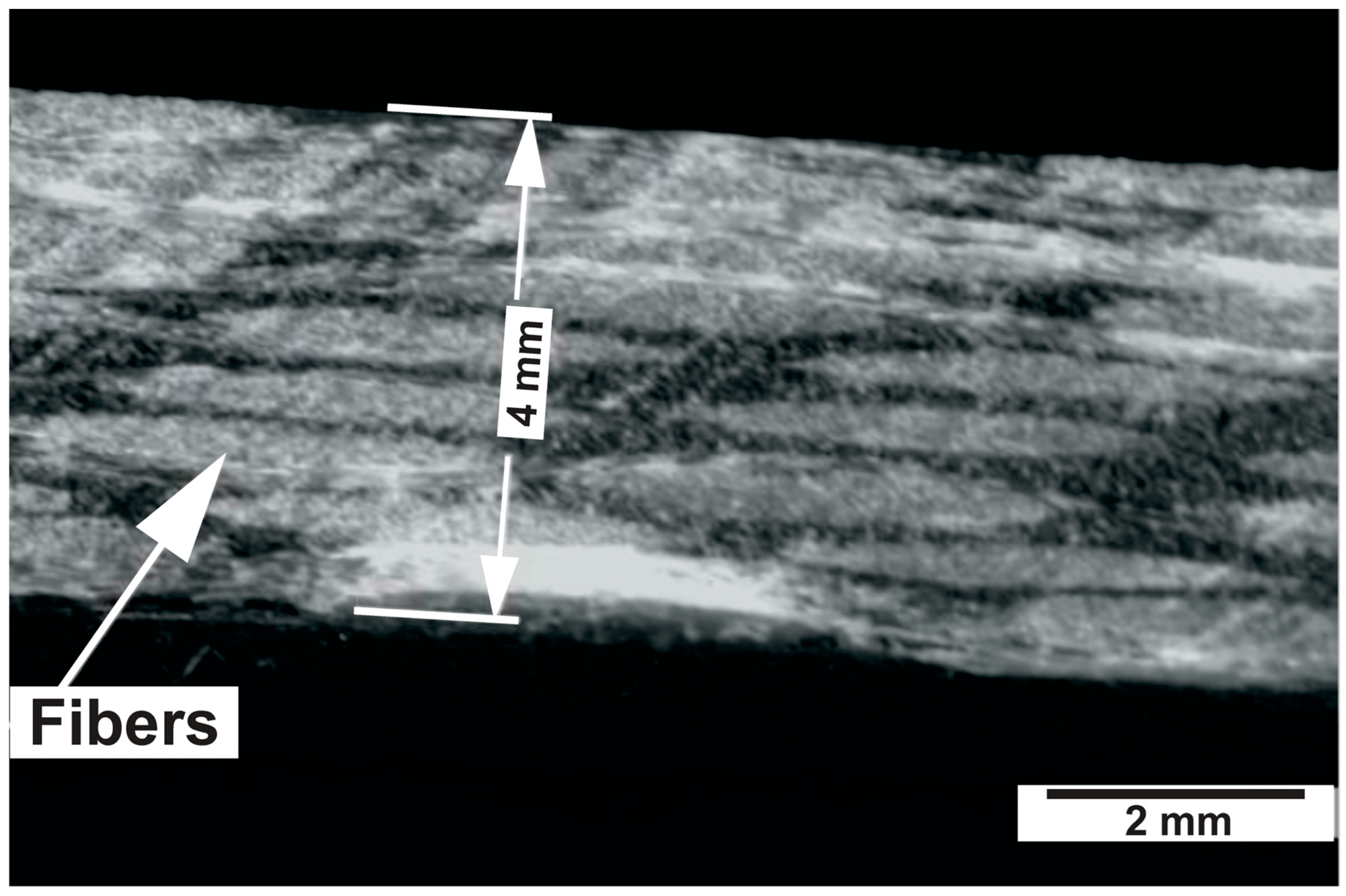 Lubricants 14 00065 g003