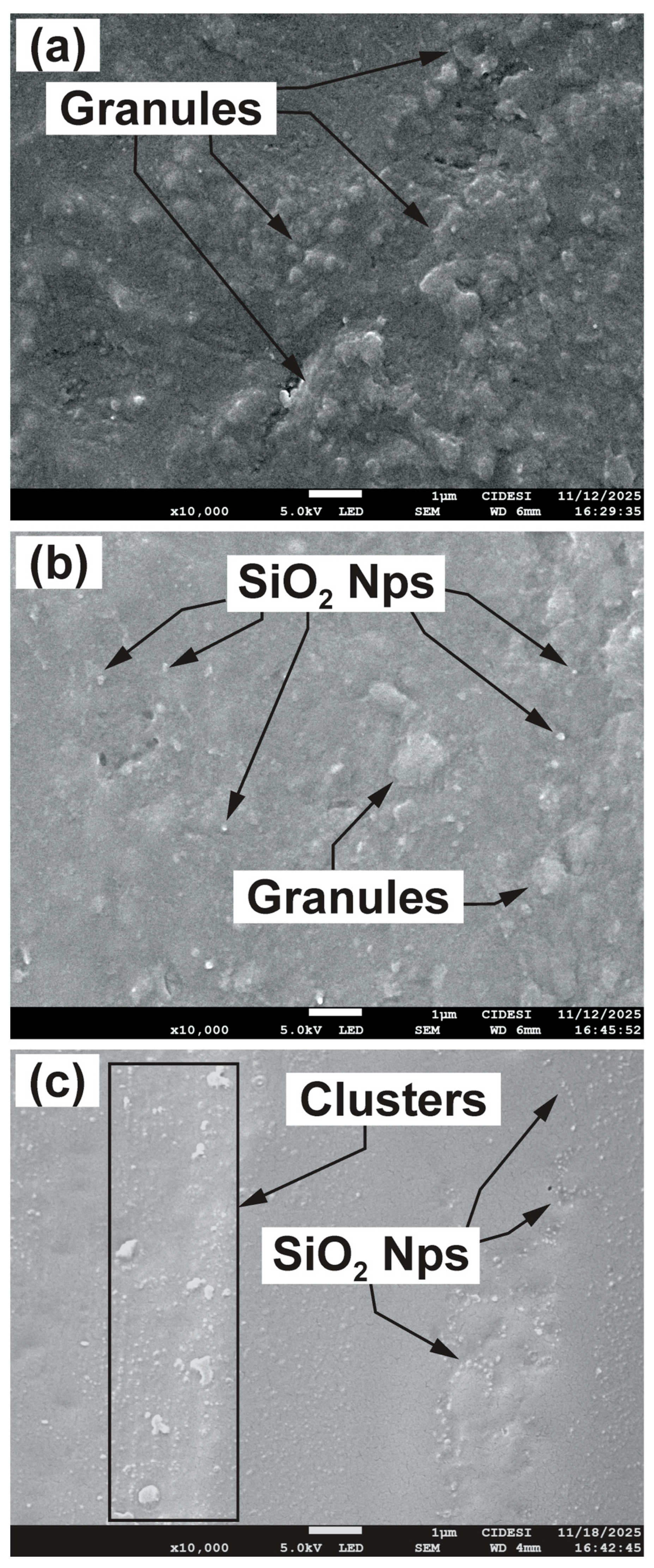 Lubricants 14 00065 g008