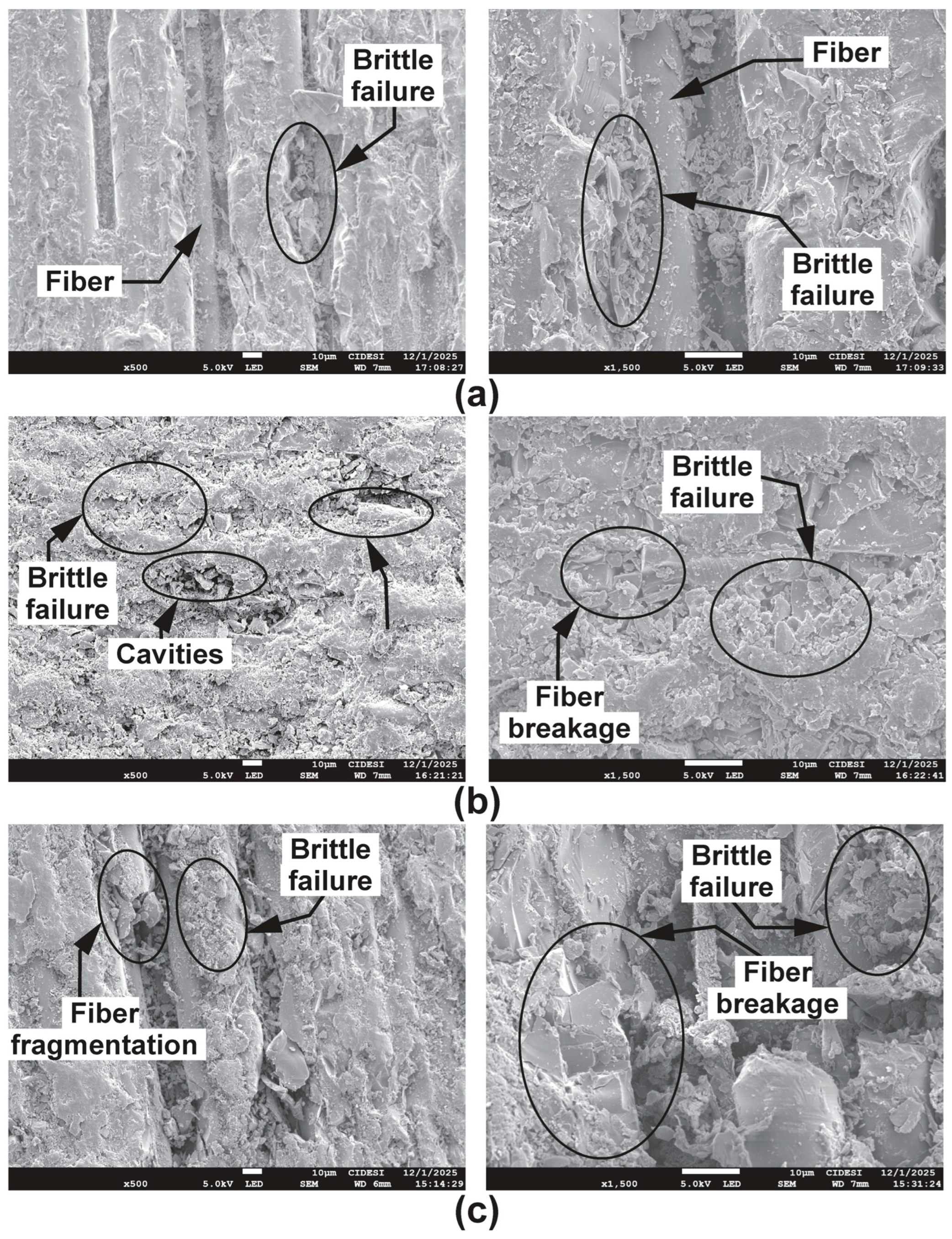 Lubricants 14 00065 g013