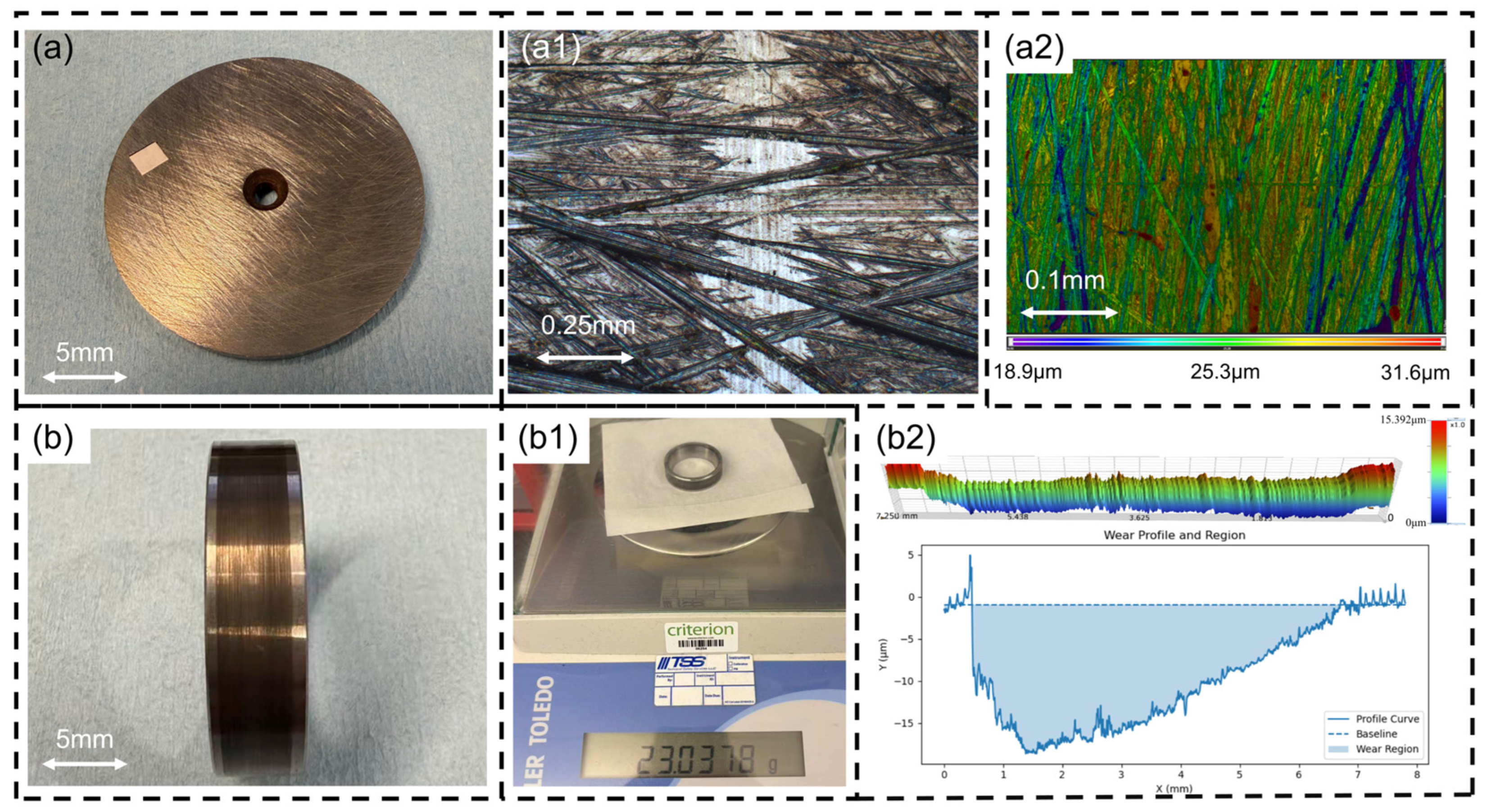 Lubricants 14 00074 g003