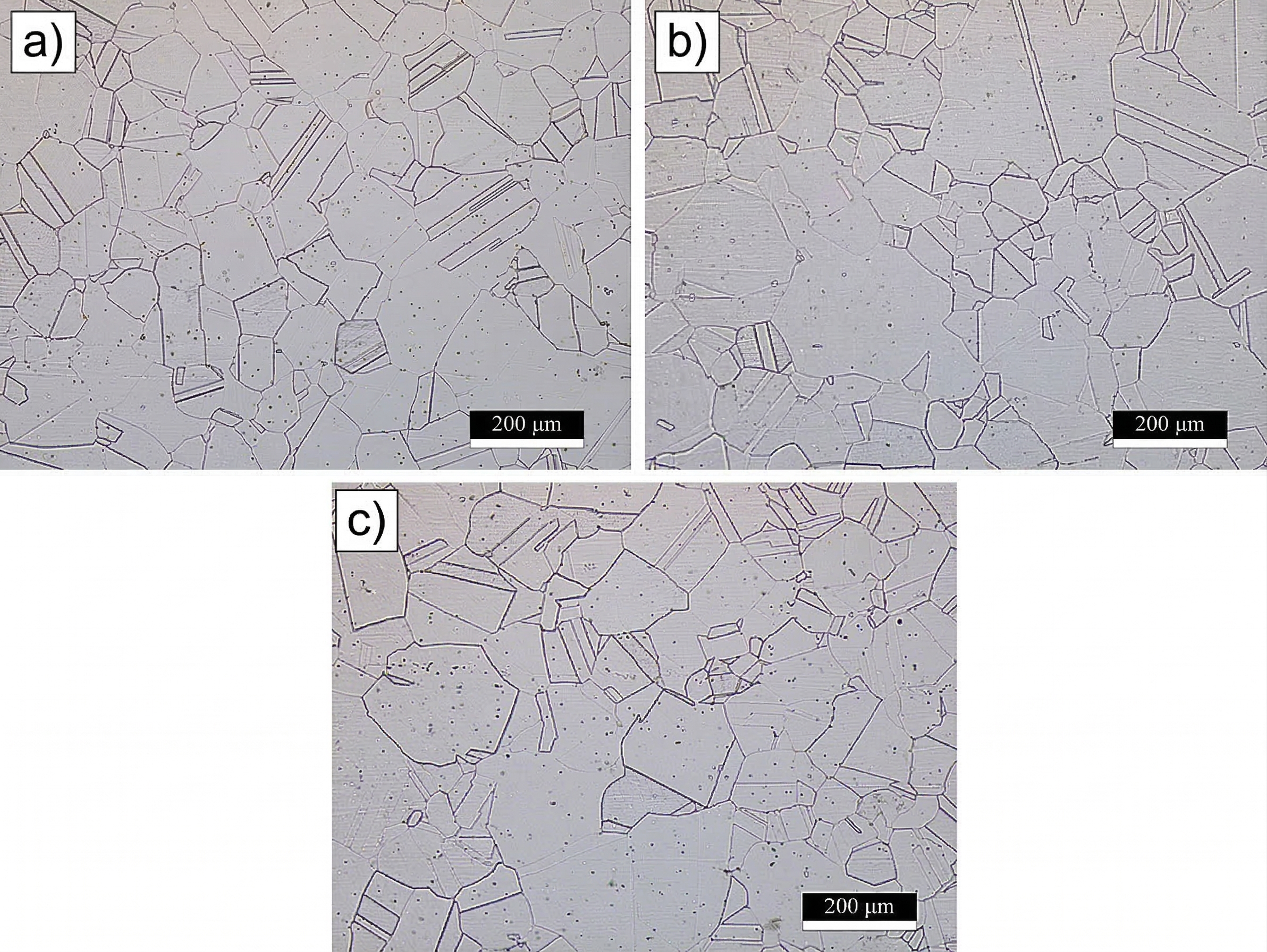 Lubricants 14 00127 g009