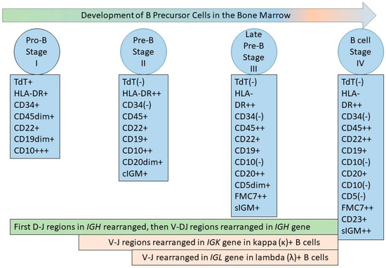 Lymphatics 01 00007 g001