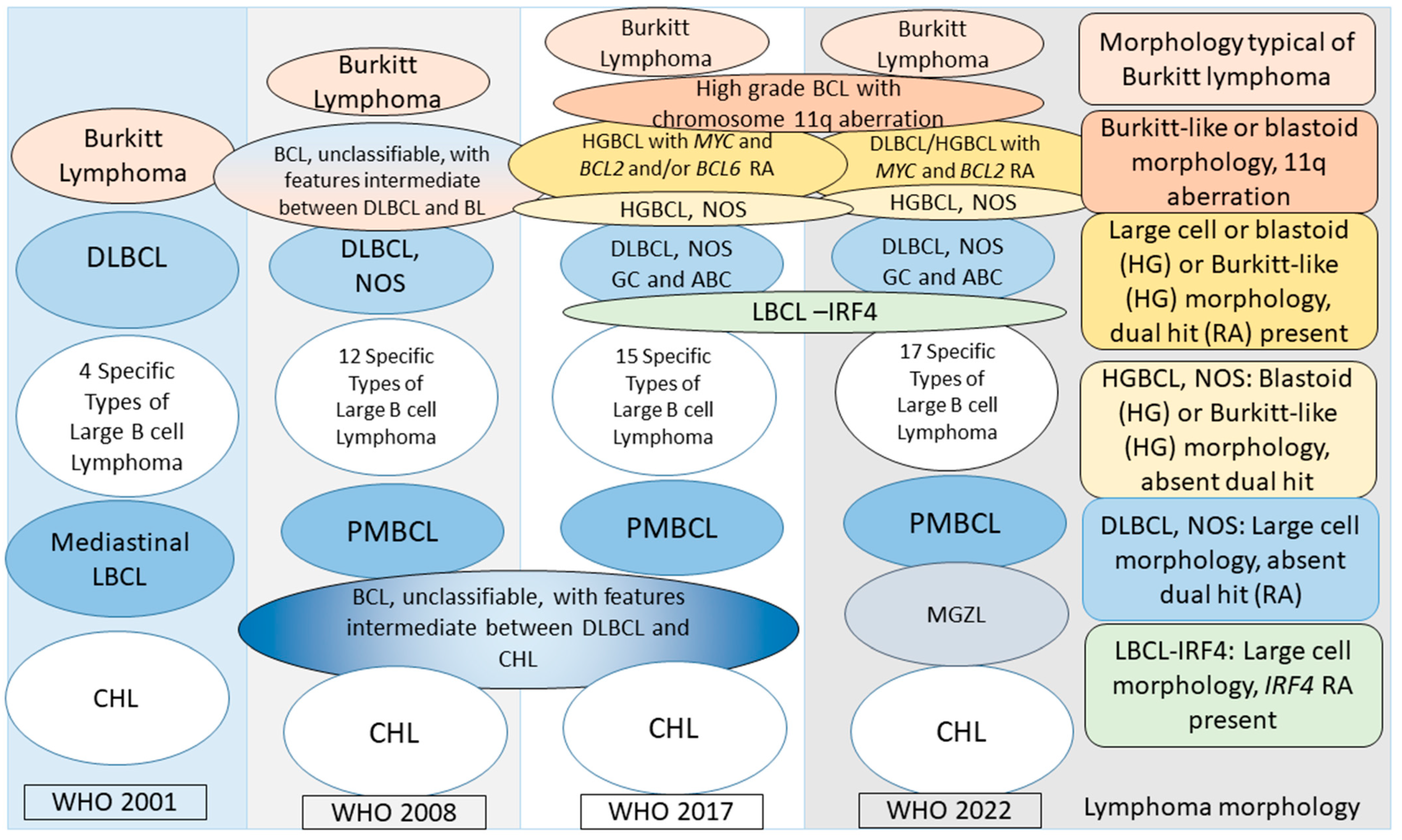 Lymphatics 01 00012 g002