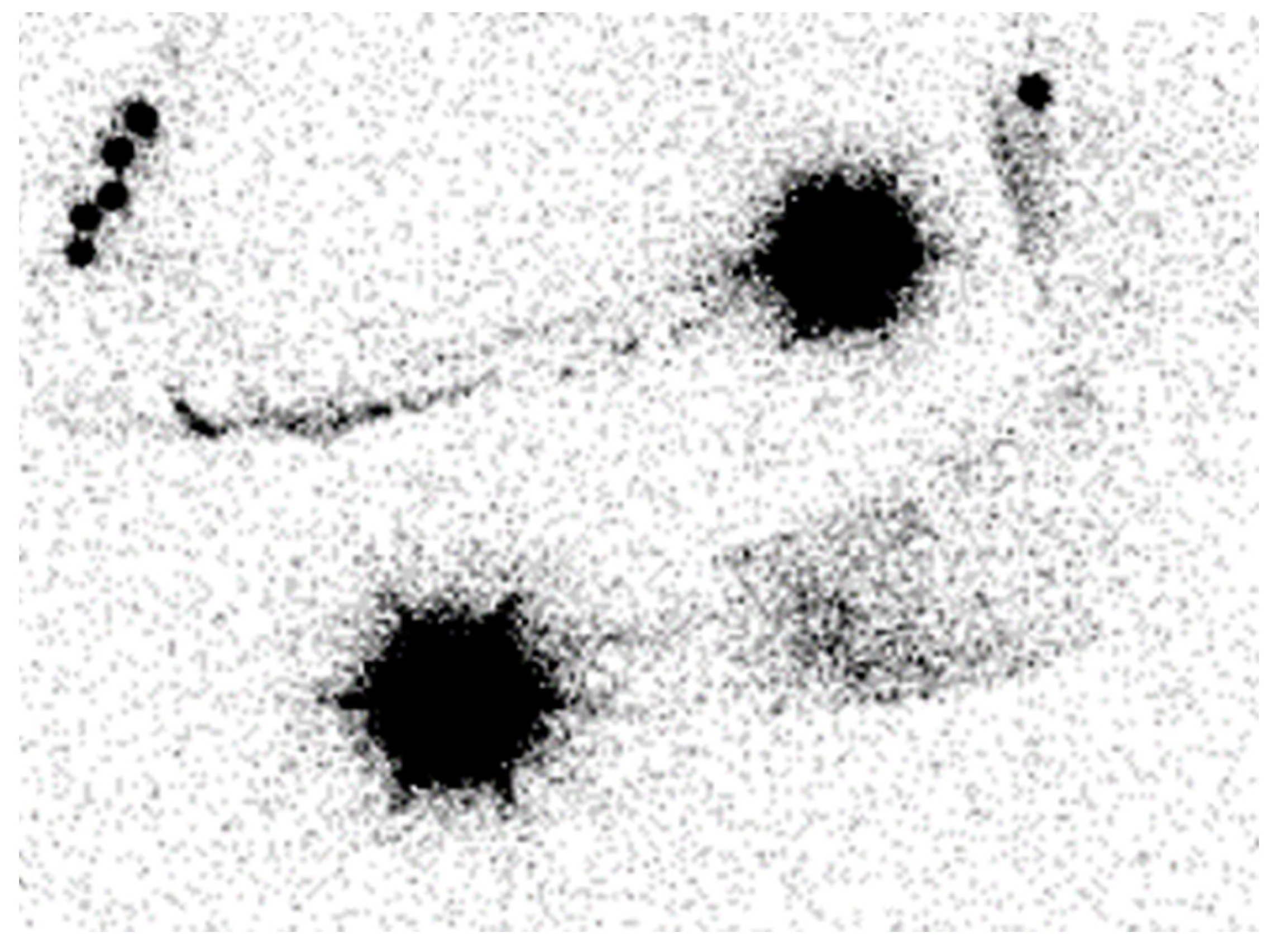 Lymphatics 01 00013 g001