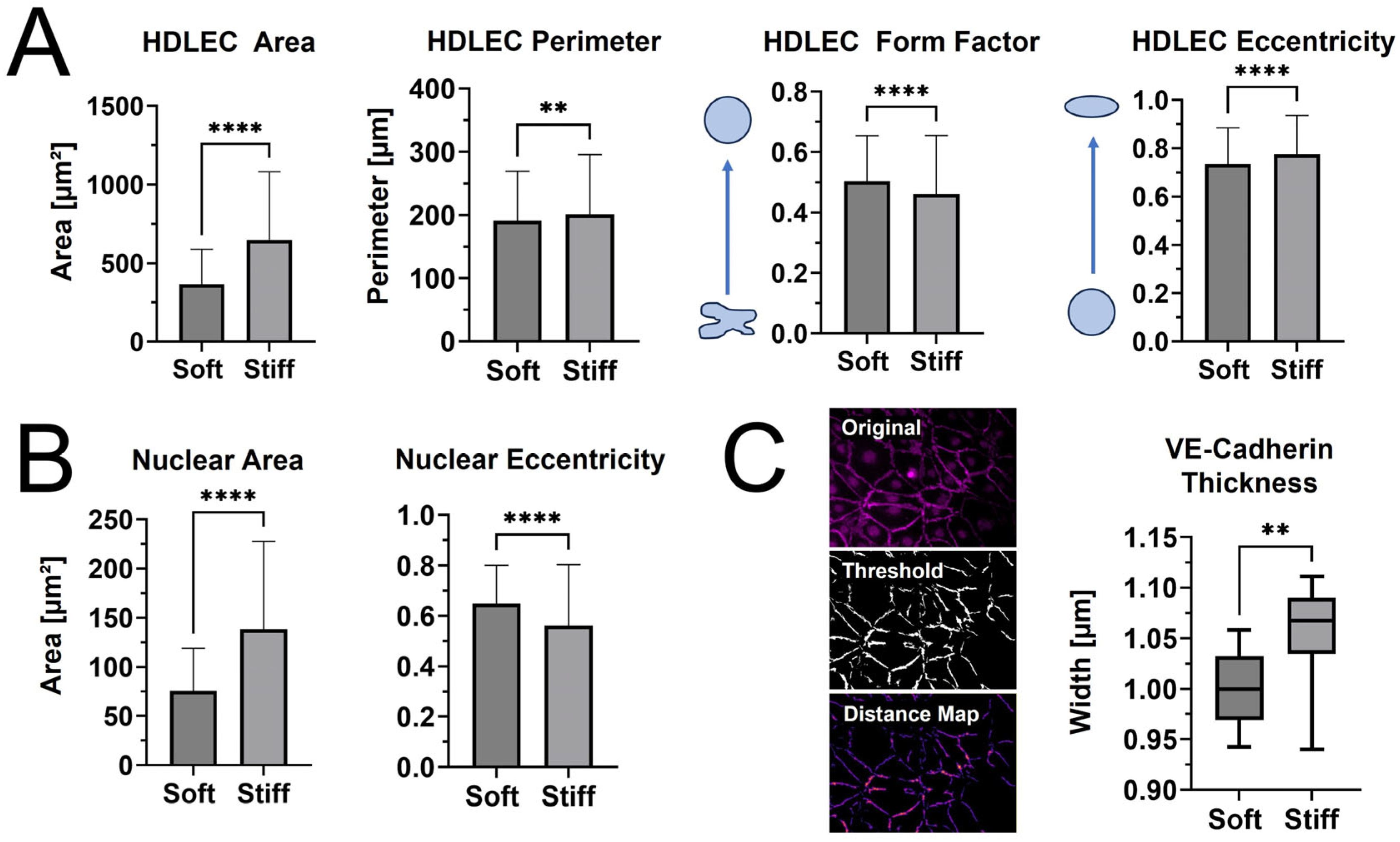 Lymphatics 02 00015 g005
