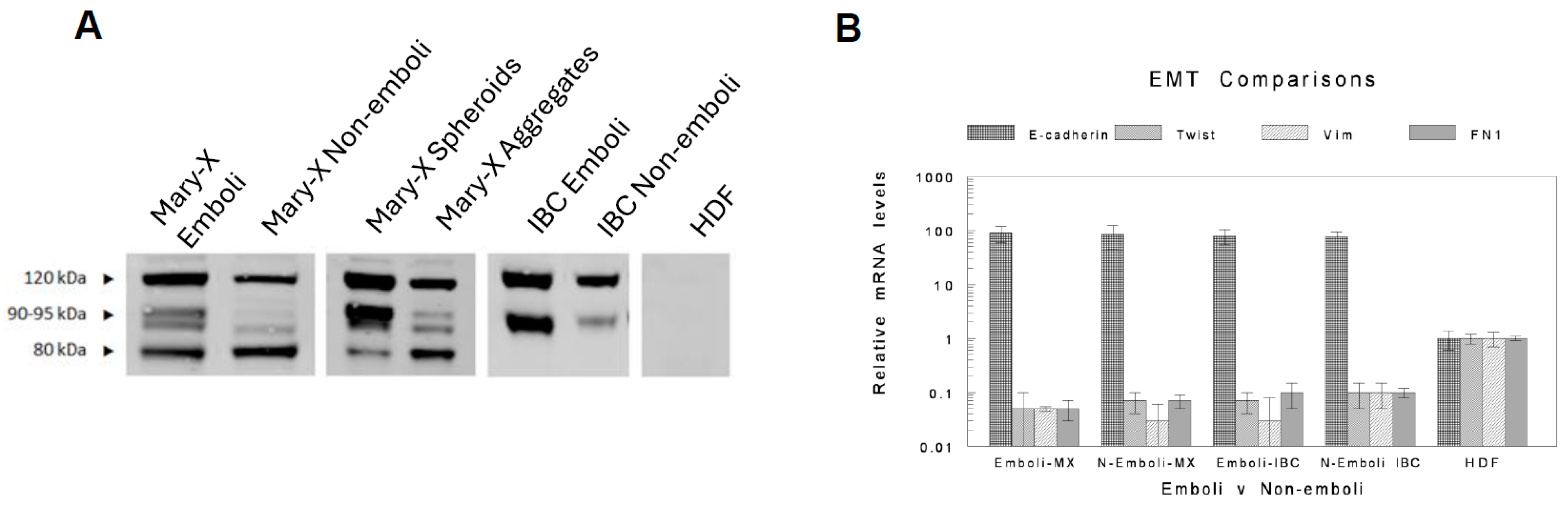 Lymphatics 02 00016 g003
