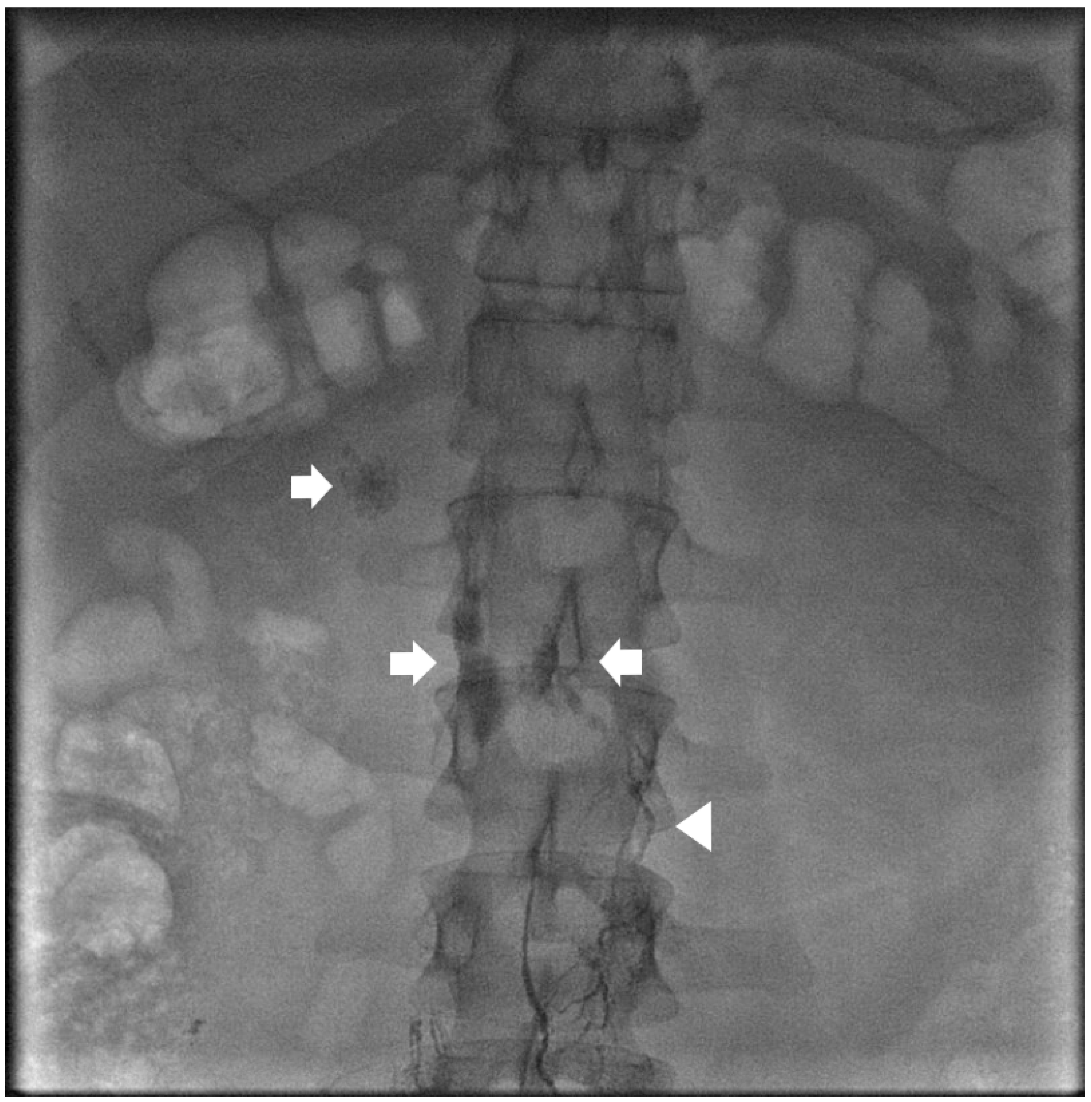 Lymphatics 02 00018 g001
