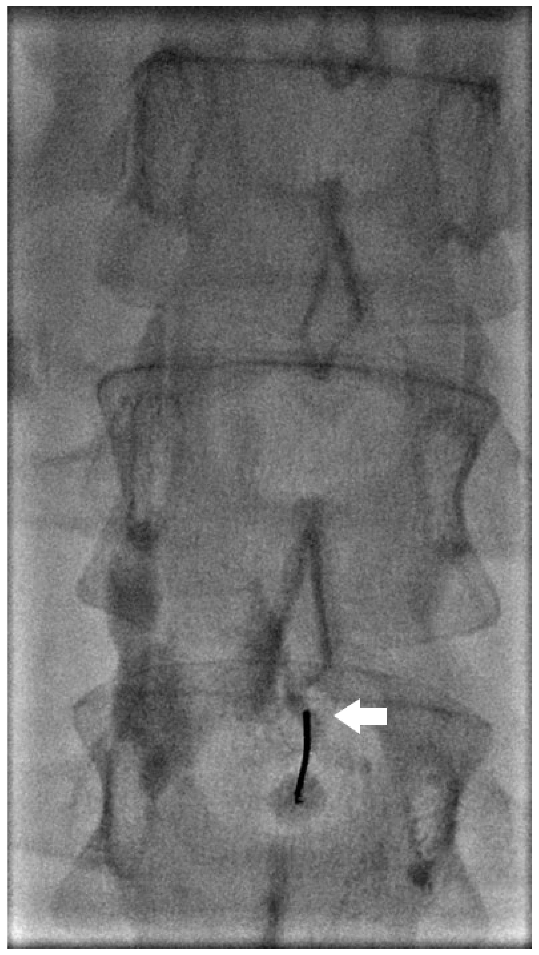 Lymphatics 02 00018 g002