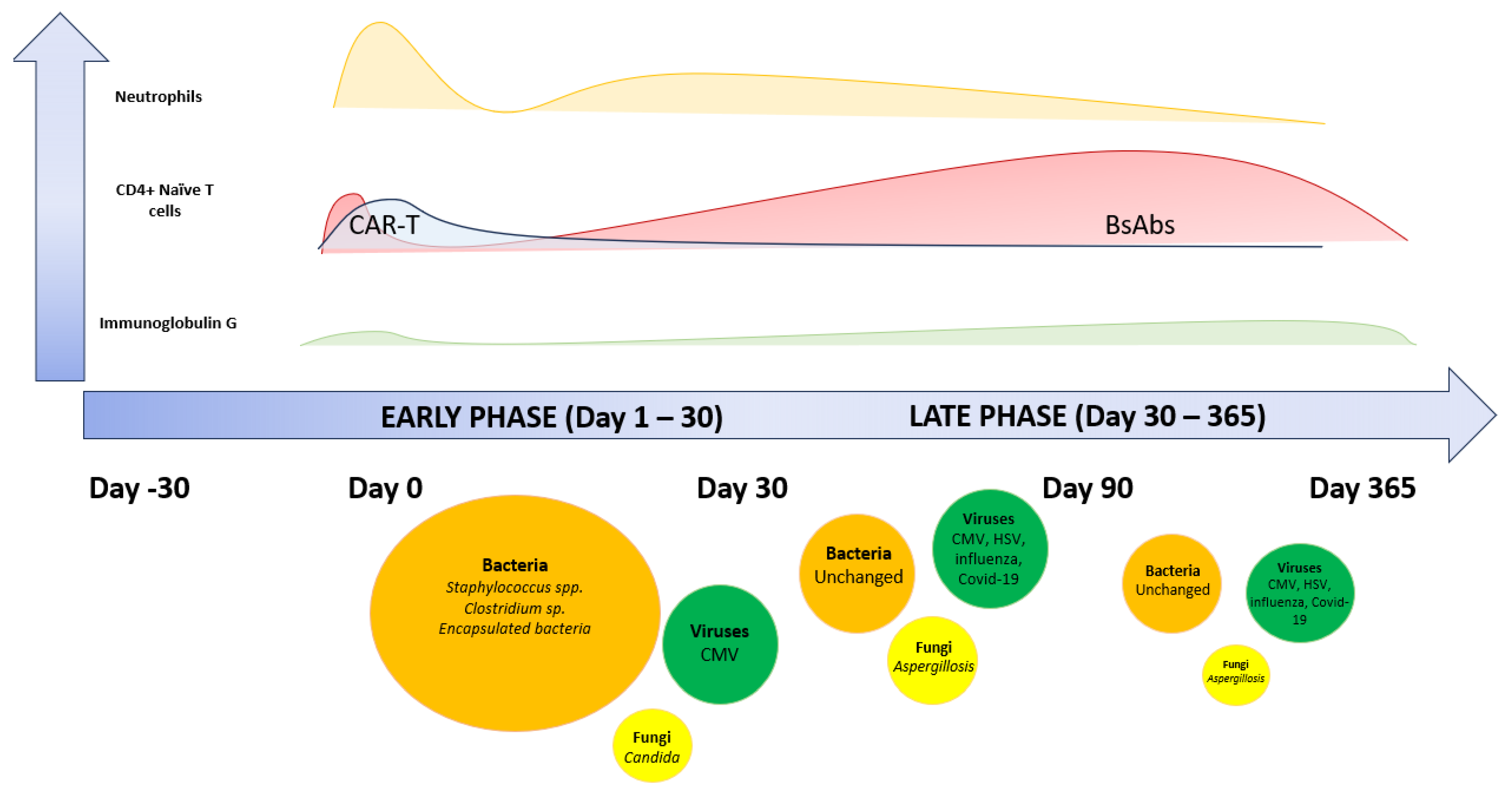 Lymphatics 02 00019 g002