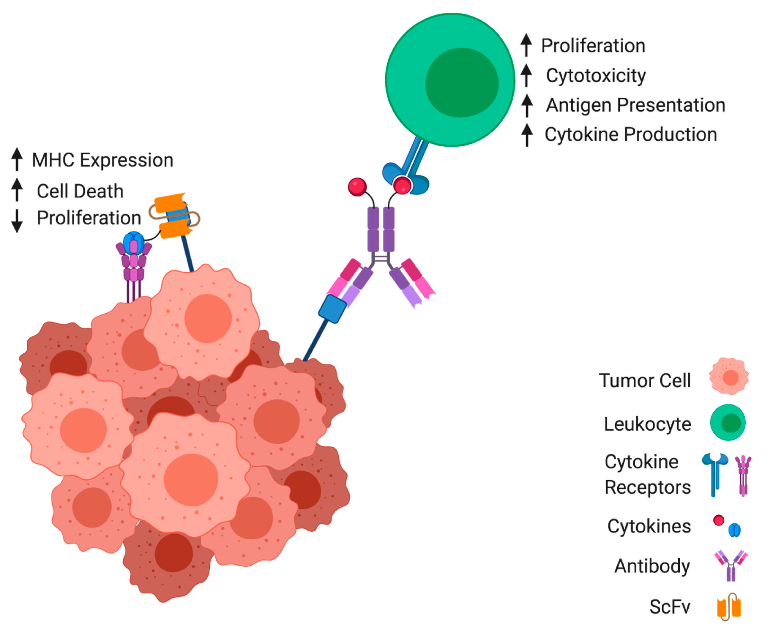 Lymphatics 03 00002 g007