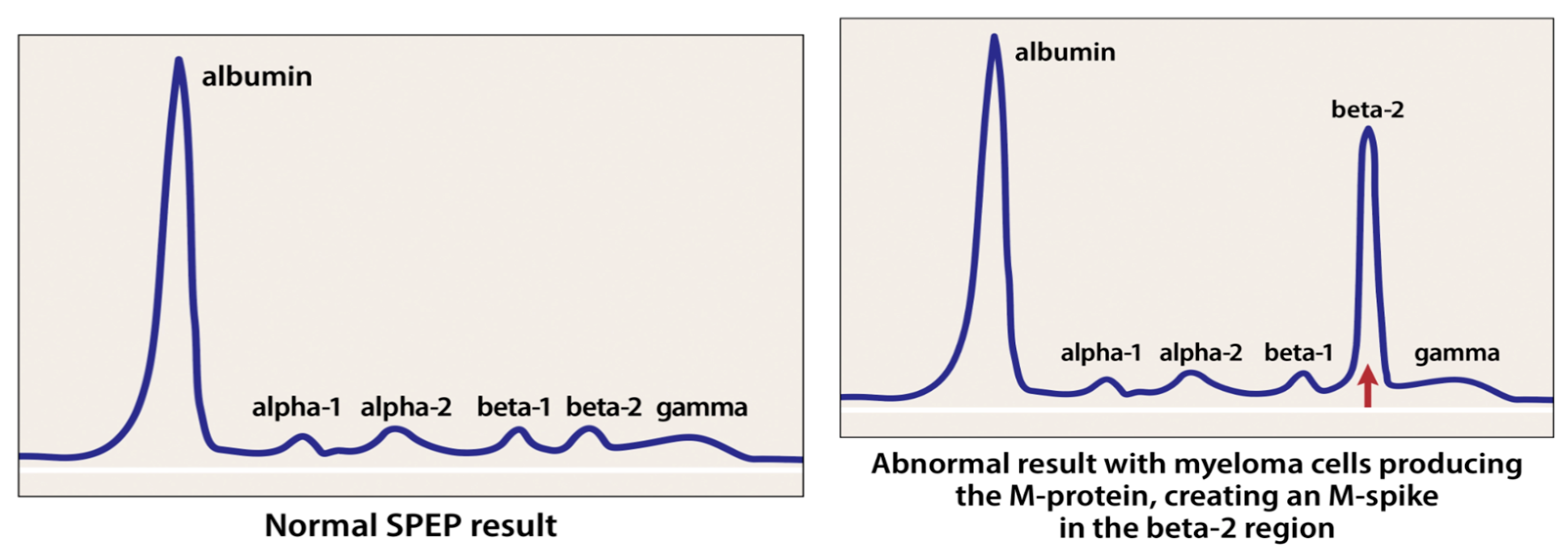 Lymphatics 03 00002 g008