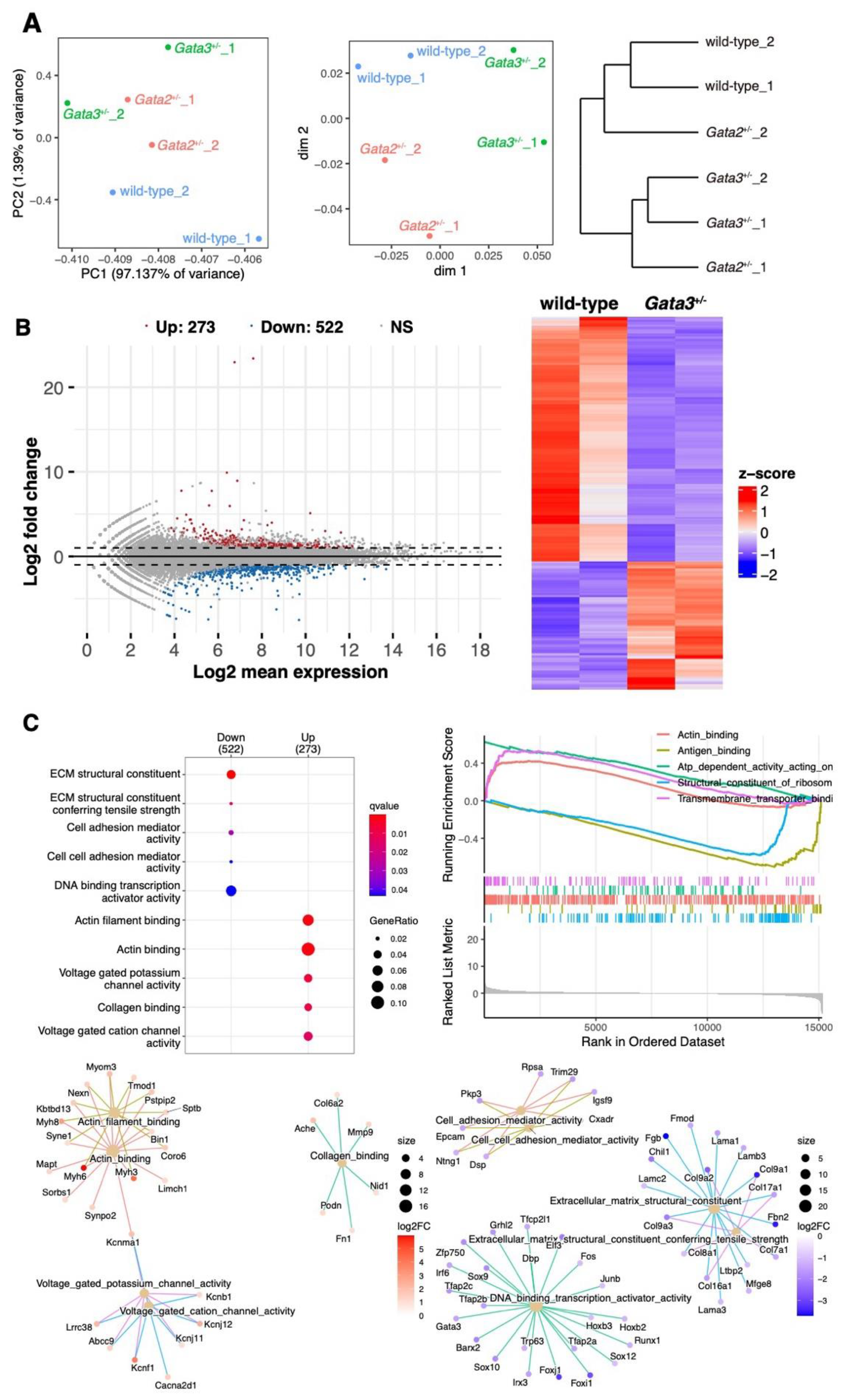 Lymphatics 03 00007 g001