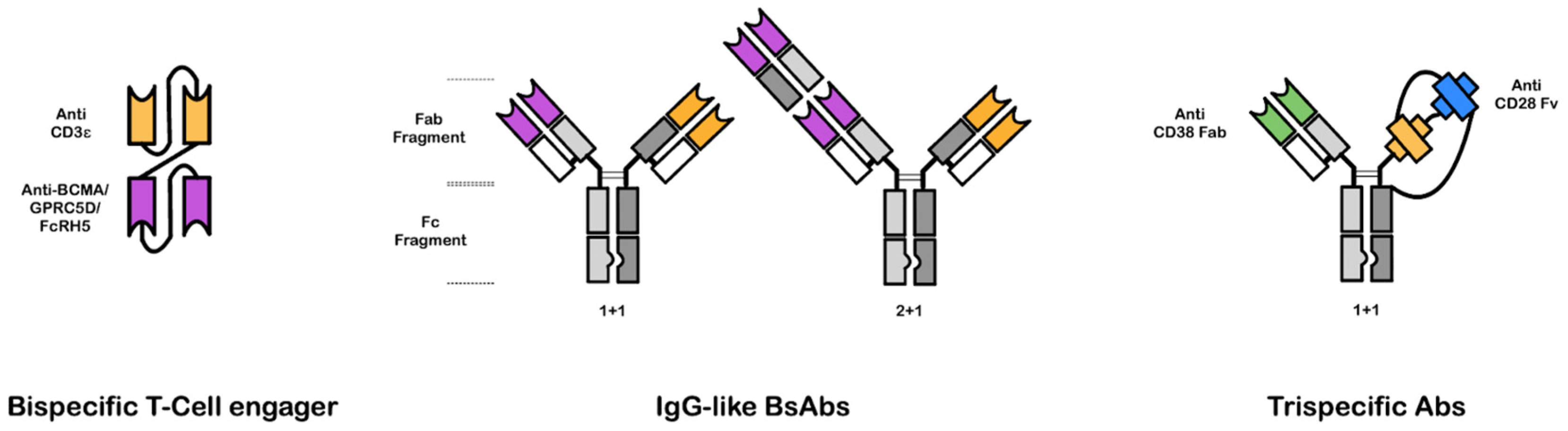 Lymphatics 03 00014 g001